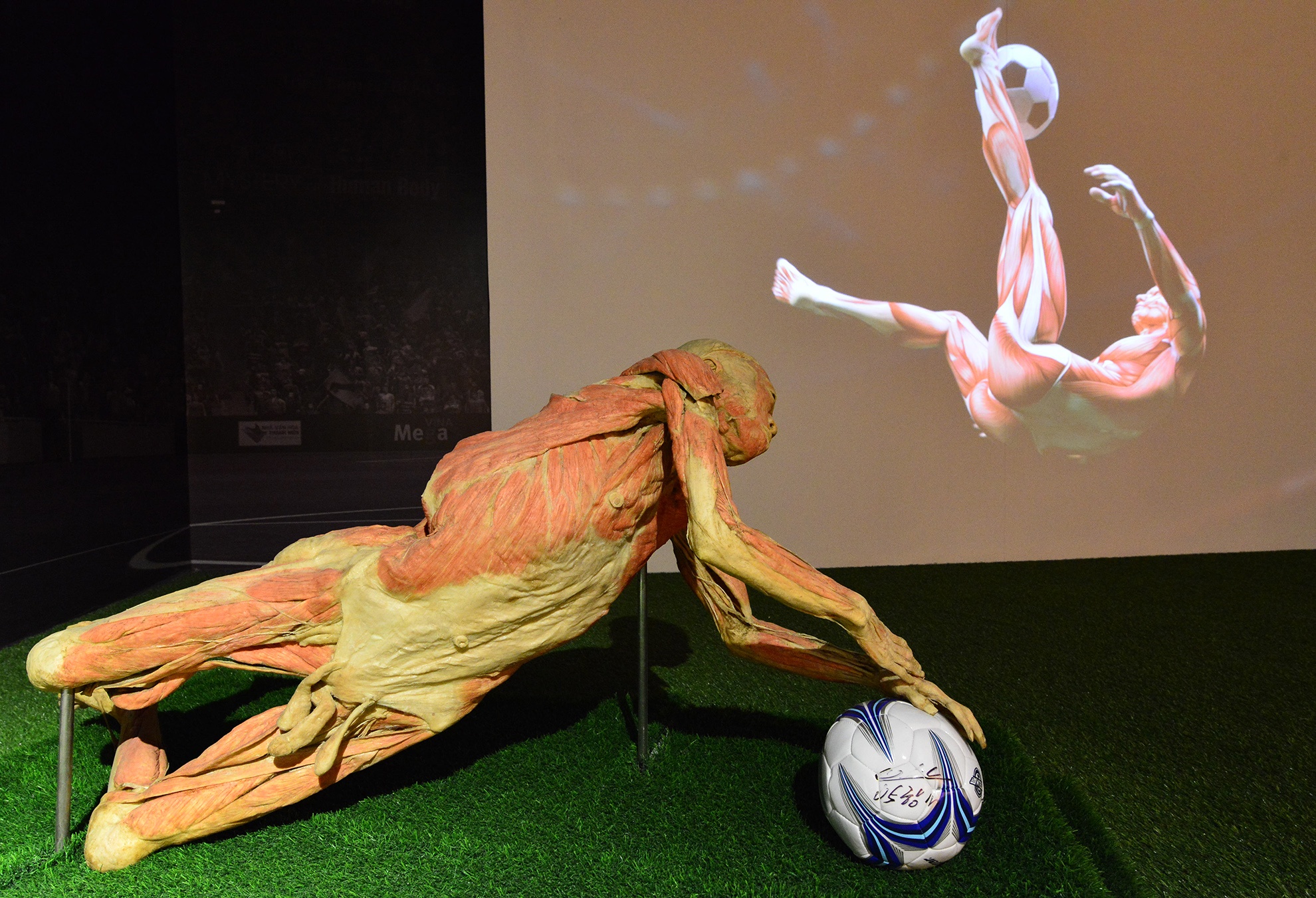 trien lam xac nguoi that day am anh o Sai Gon anh 6