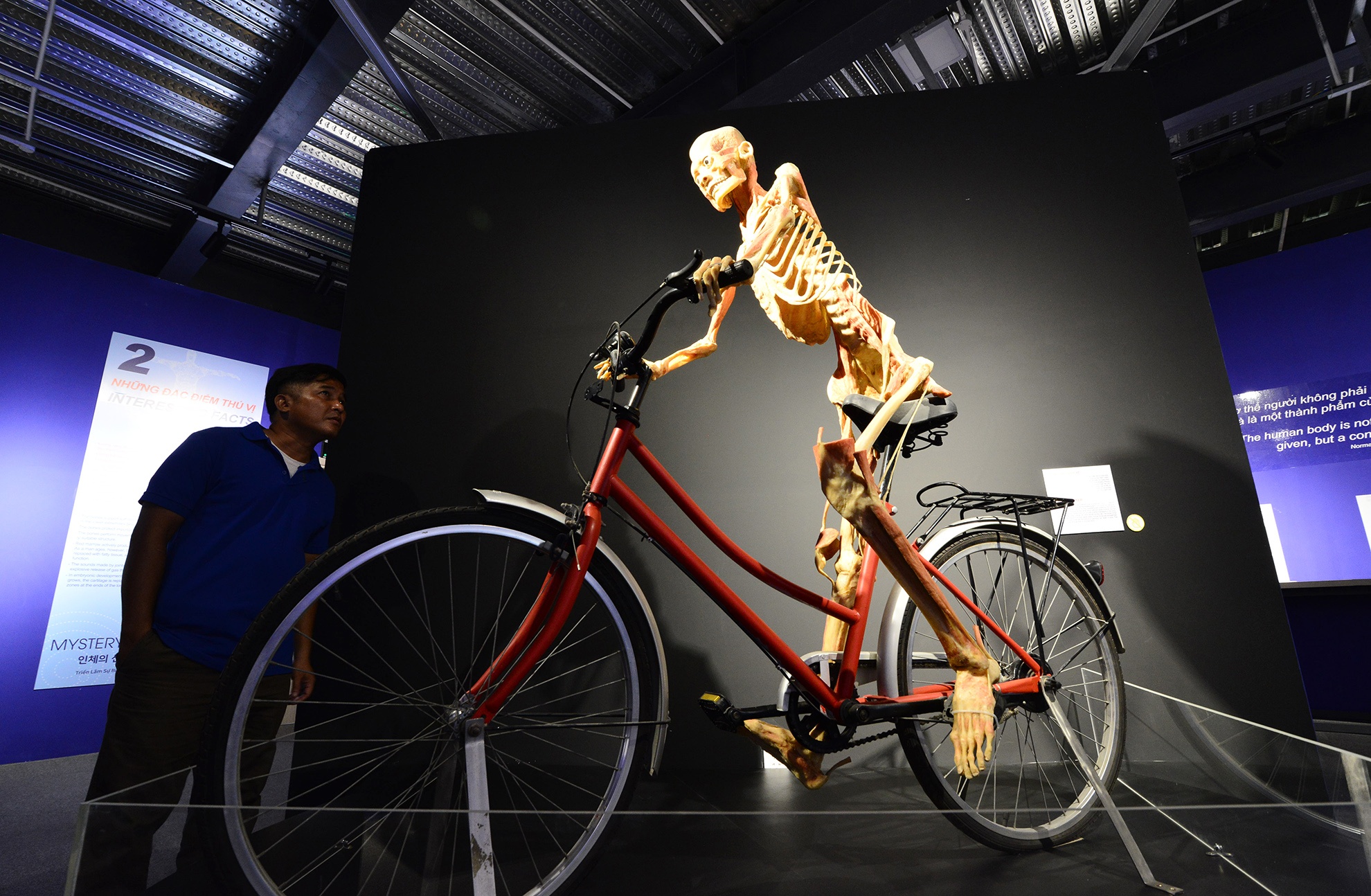 trien lam xac nguoi that day am anh o Sai Gon anh 7