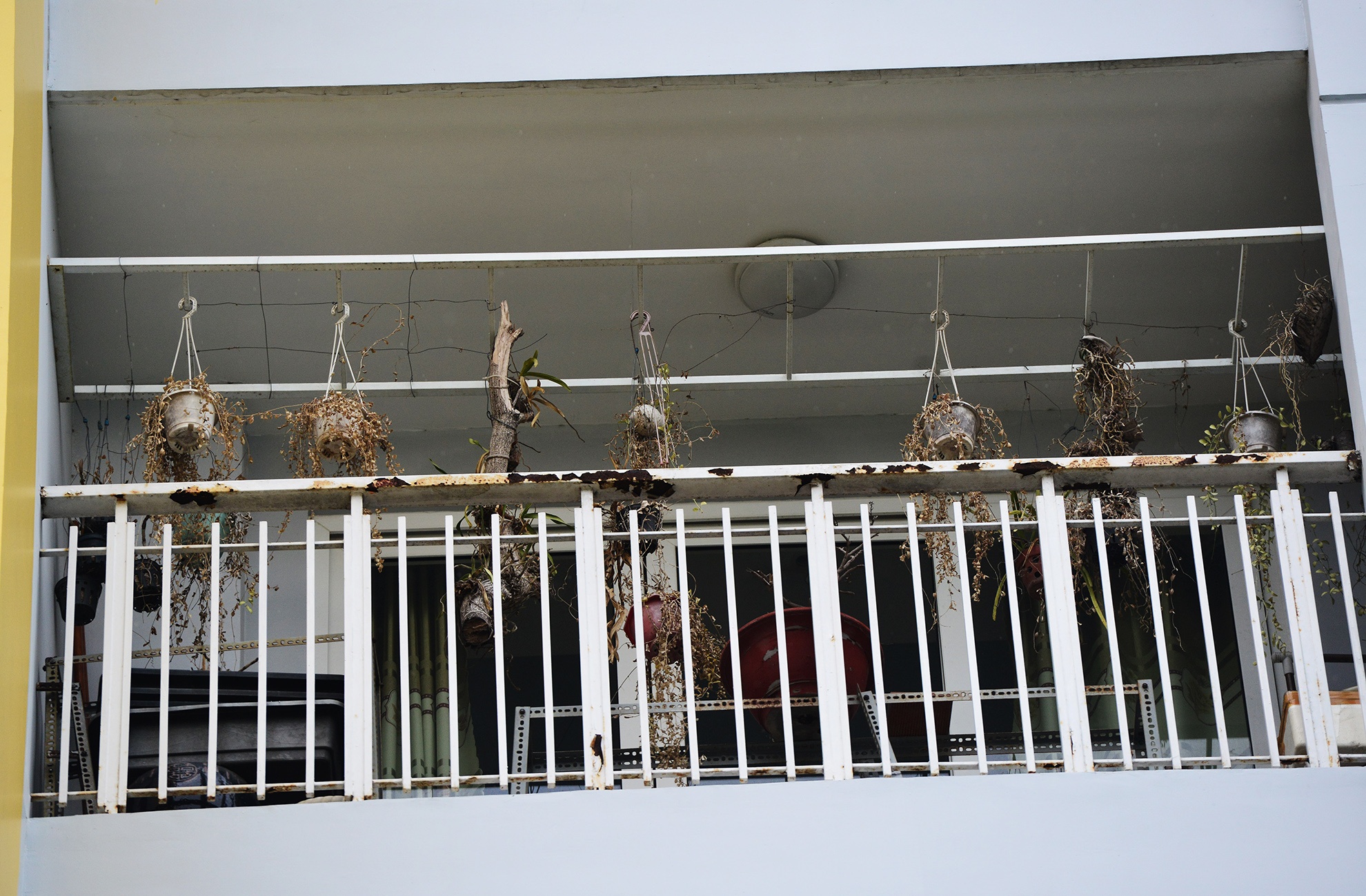 Chung cu Carina gan 5 thang sau vu chay kinh hoang anh 4