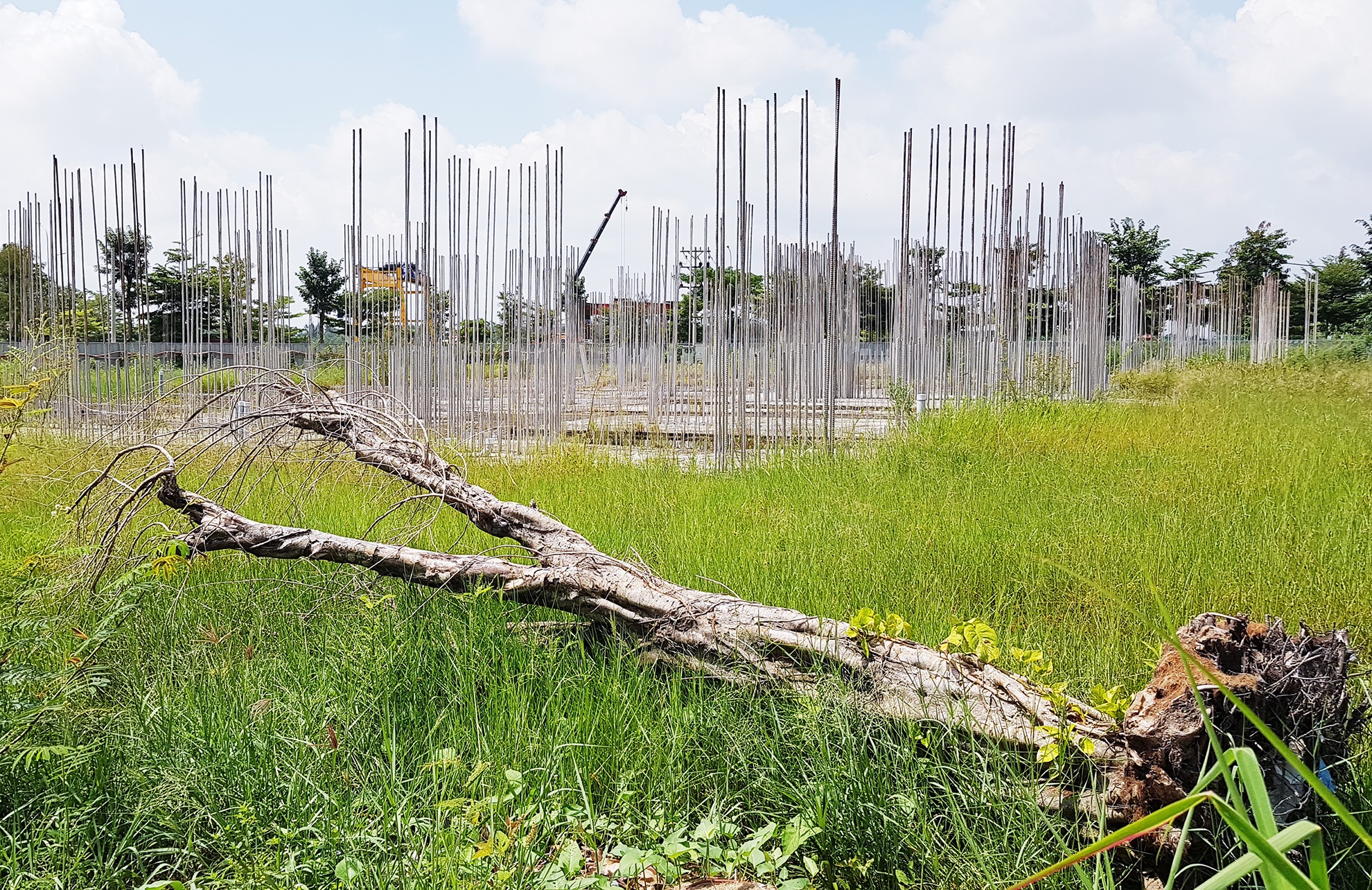 Du an khu dan cu hon 30 ha bi 'dap chieu' hinh anh