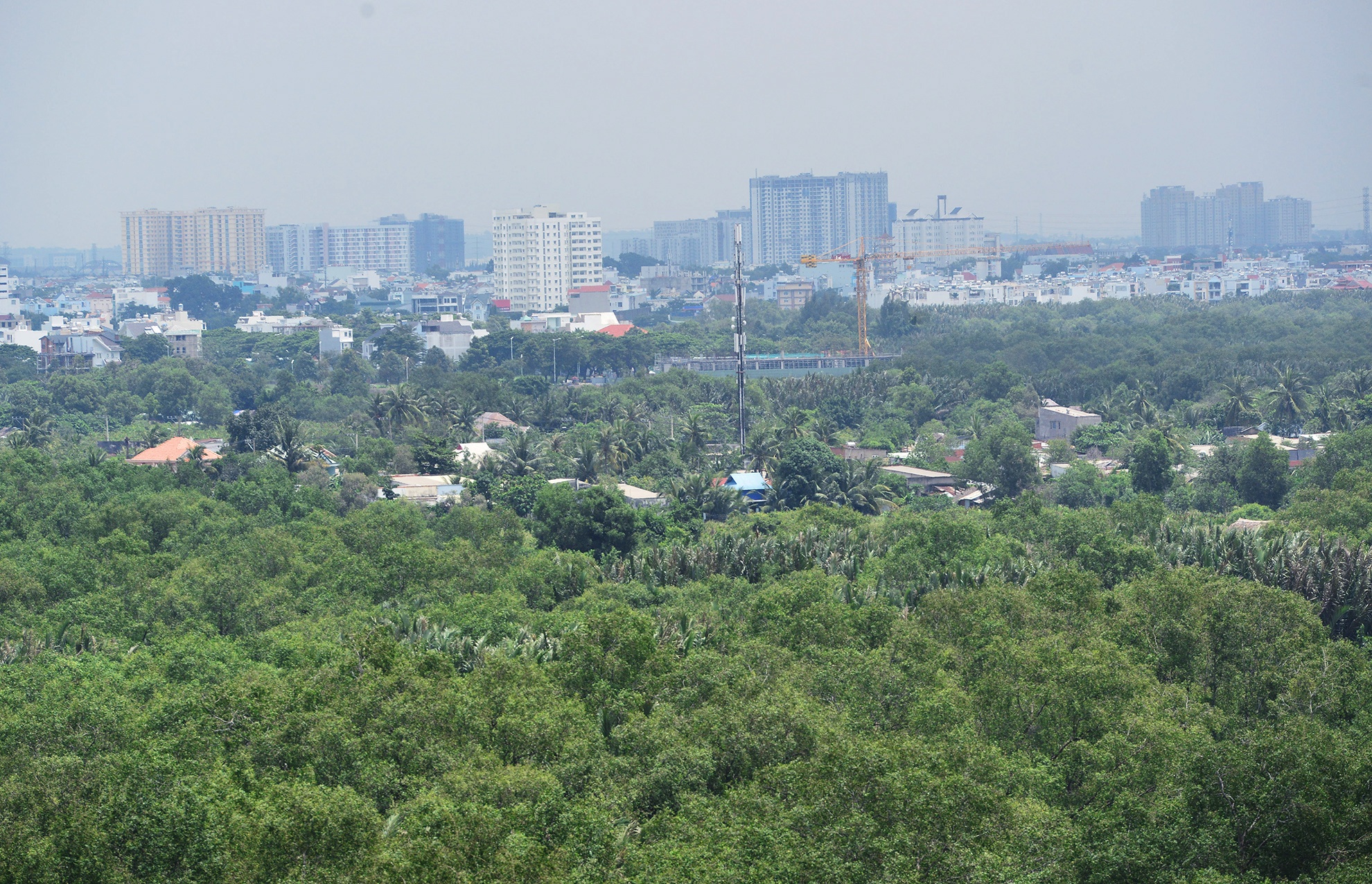 Ben trong du an treo lien quan den rapper Tien Dat anh 11