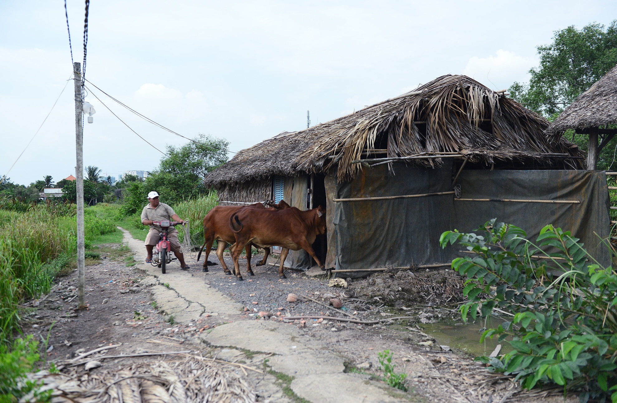 Ben trong du an treo lien quan den rapper Tien Dat anh 12