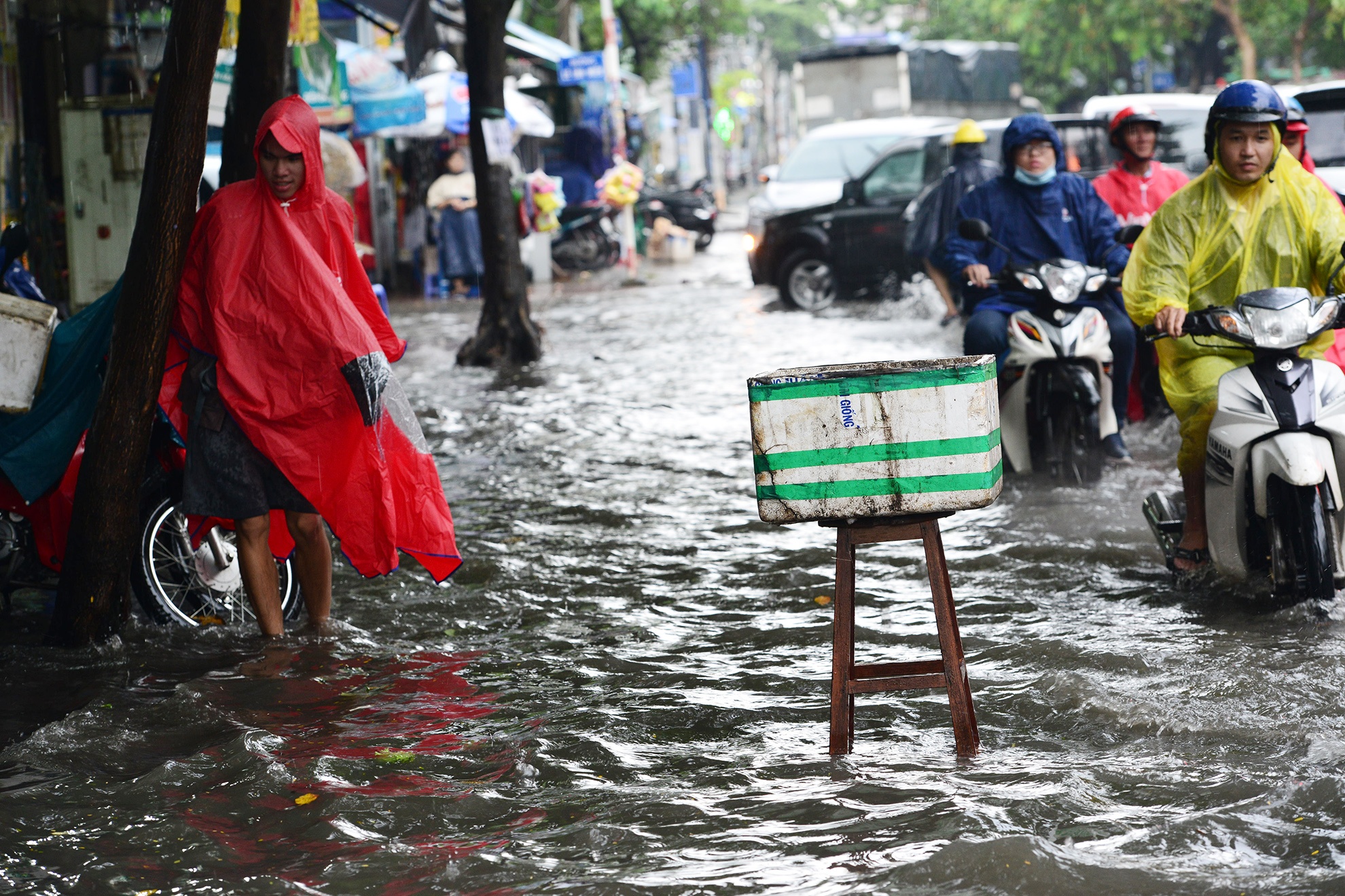 Mua ngap khu nha giau o Sai Gon anh 5
