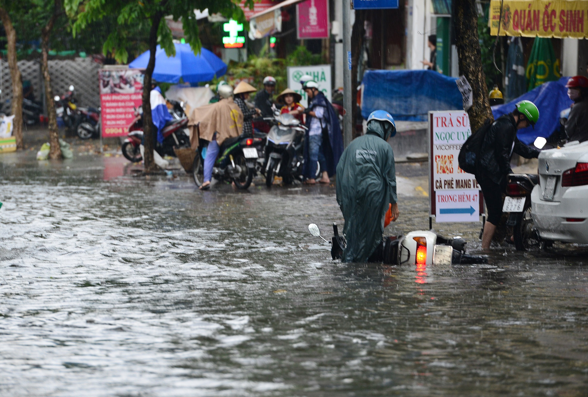 Mua ngap khu nha giau o Sai Gon anh 7