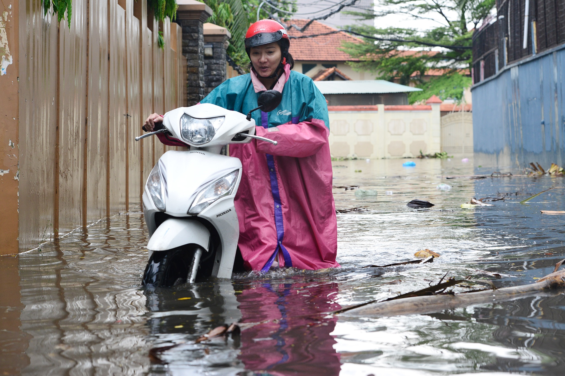 Mua ngap khu nha giau o Sai Gon anh 8