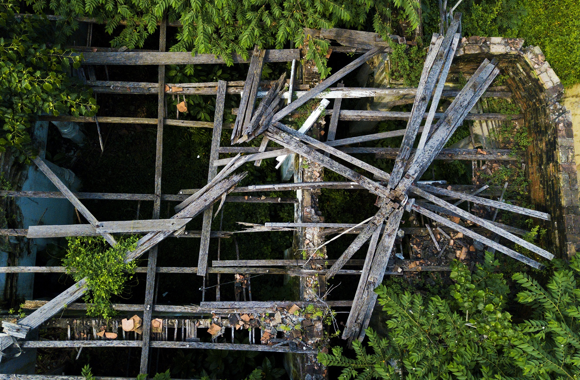 Cay dai bao trum biet thu gan 100 tuoi bo hoang anh 5