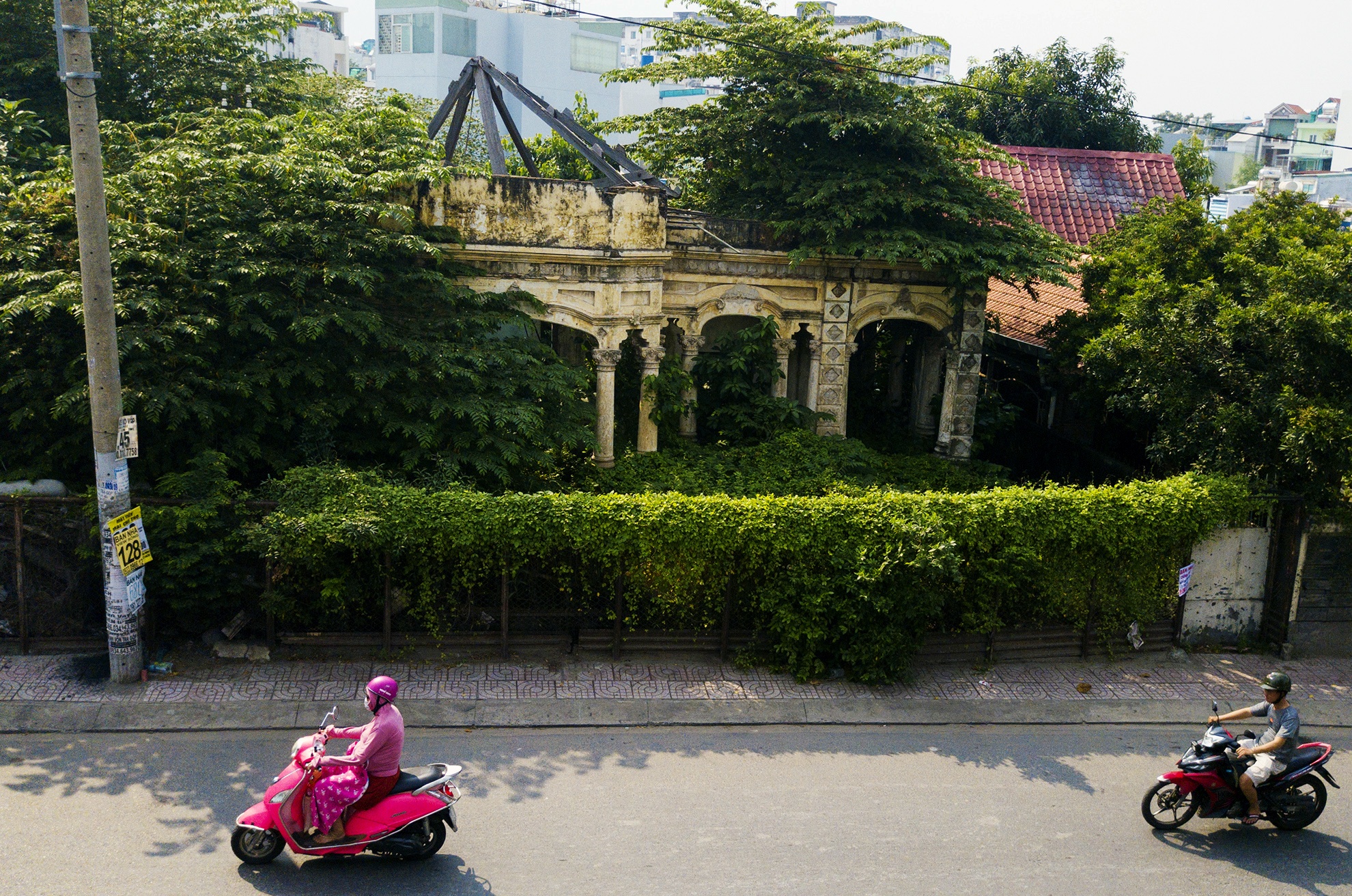 Cay dai bao trum biet thu gan 100 tuoi bo hoang anh 3