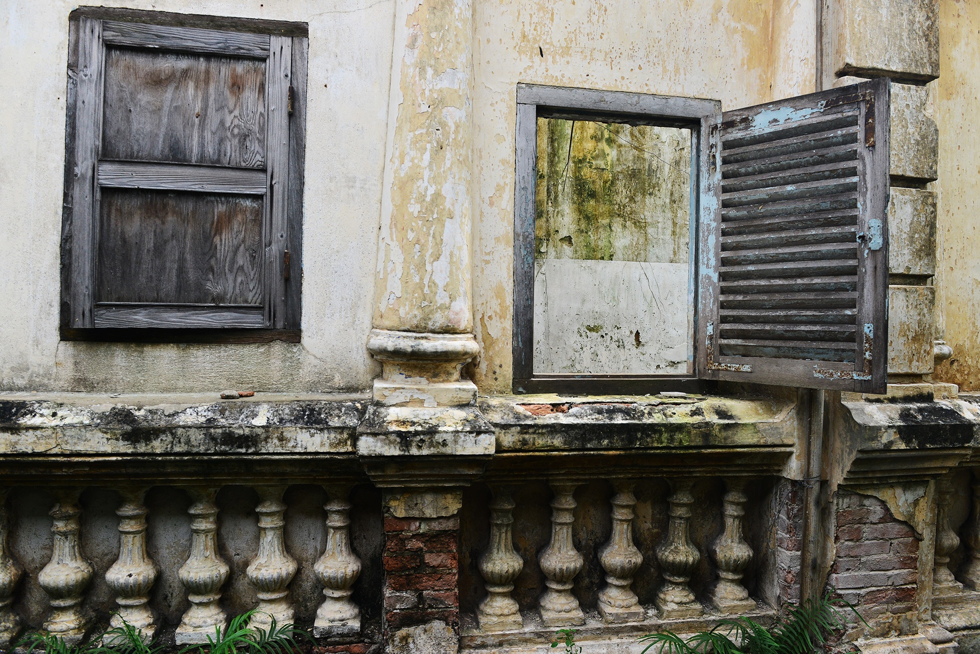 Cay dai bao trum biet thu gan 100 tuoi bo hoang anh 10