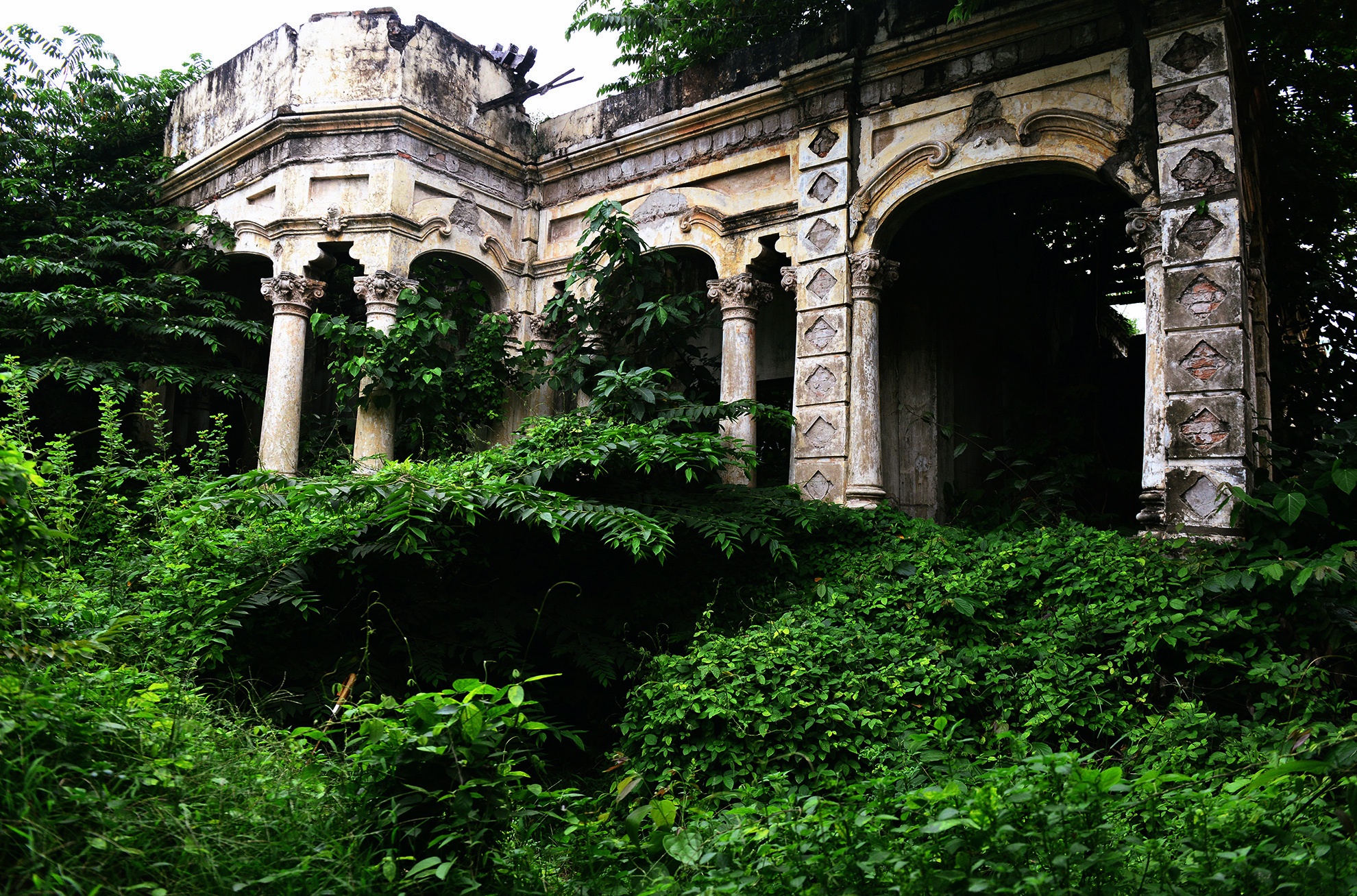 Cay dai bao trum biet thu gan 100 tuoi bo hoang anh 7