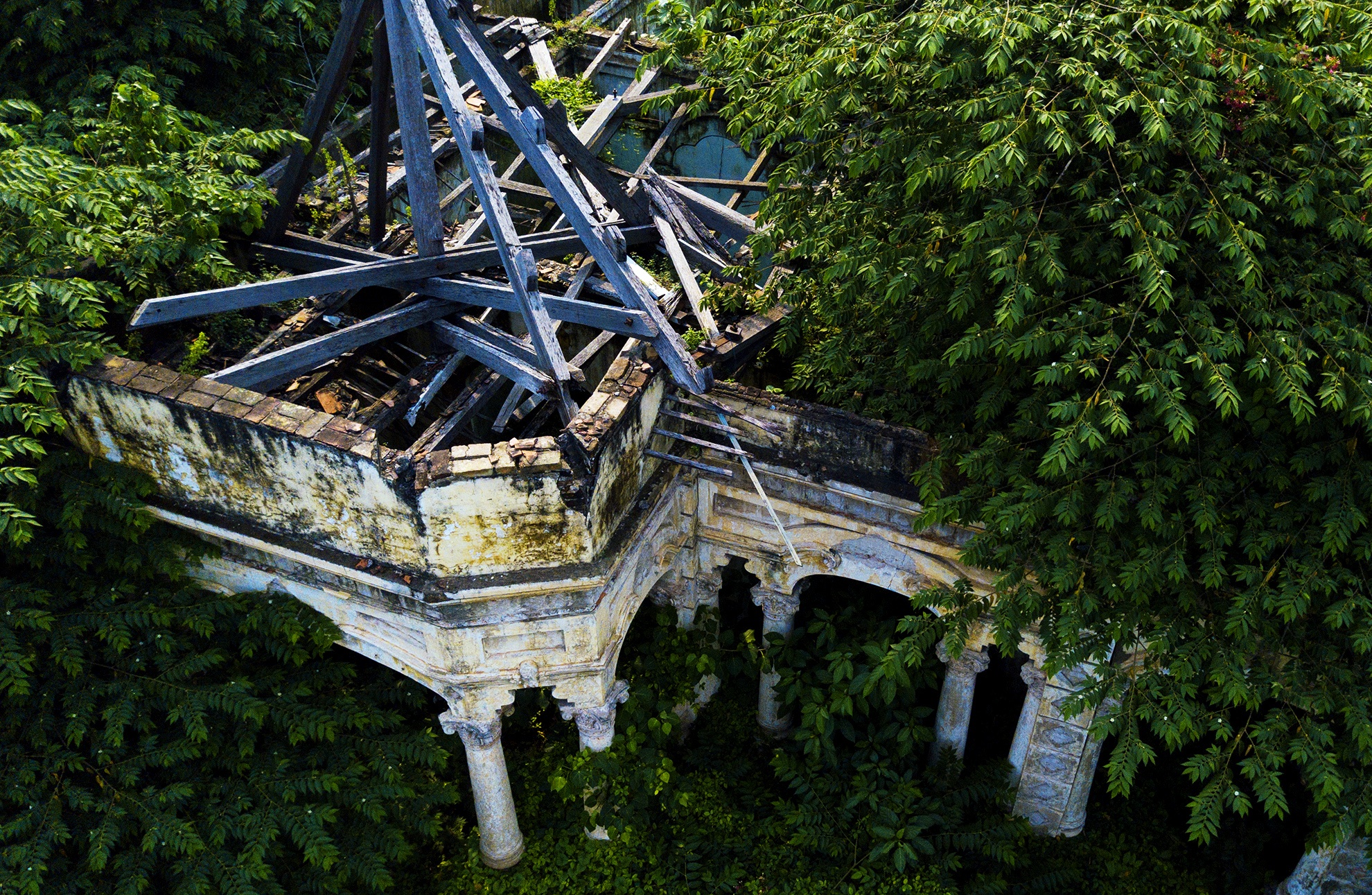 Cay dai bao trum biet thu gan 100 tuoi bo hoang anh 8