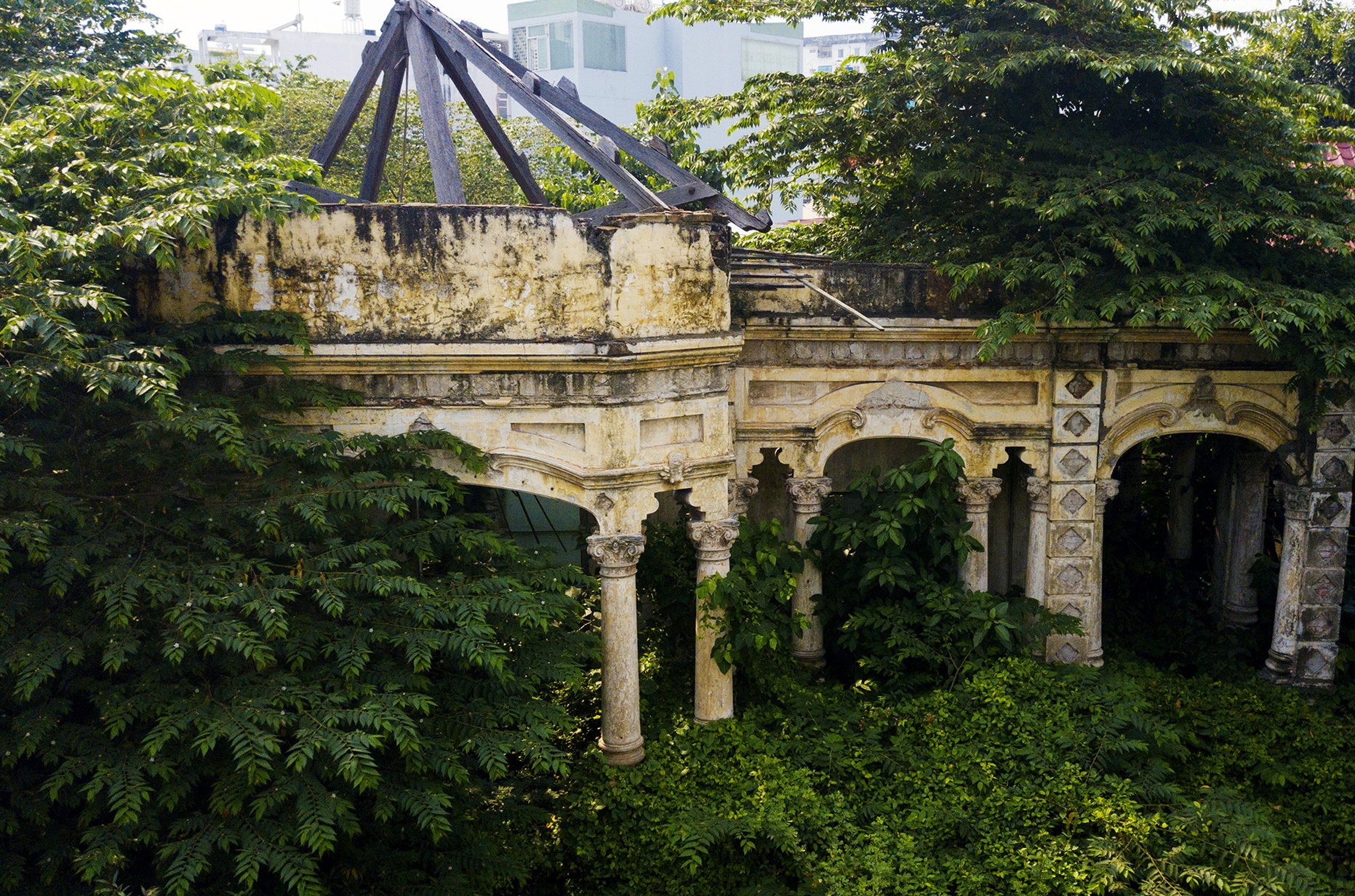 Cay dai bao trum biet thu gan 100 tuoi bo hoang o Sai Gon hinh anh