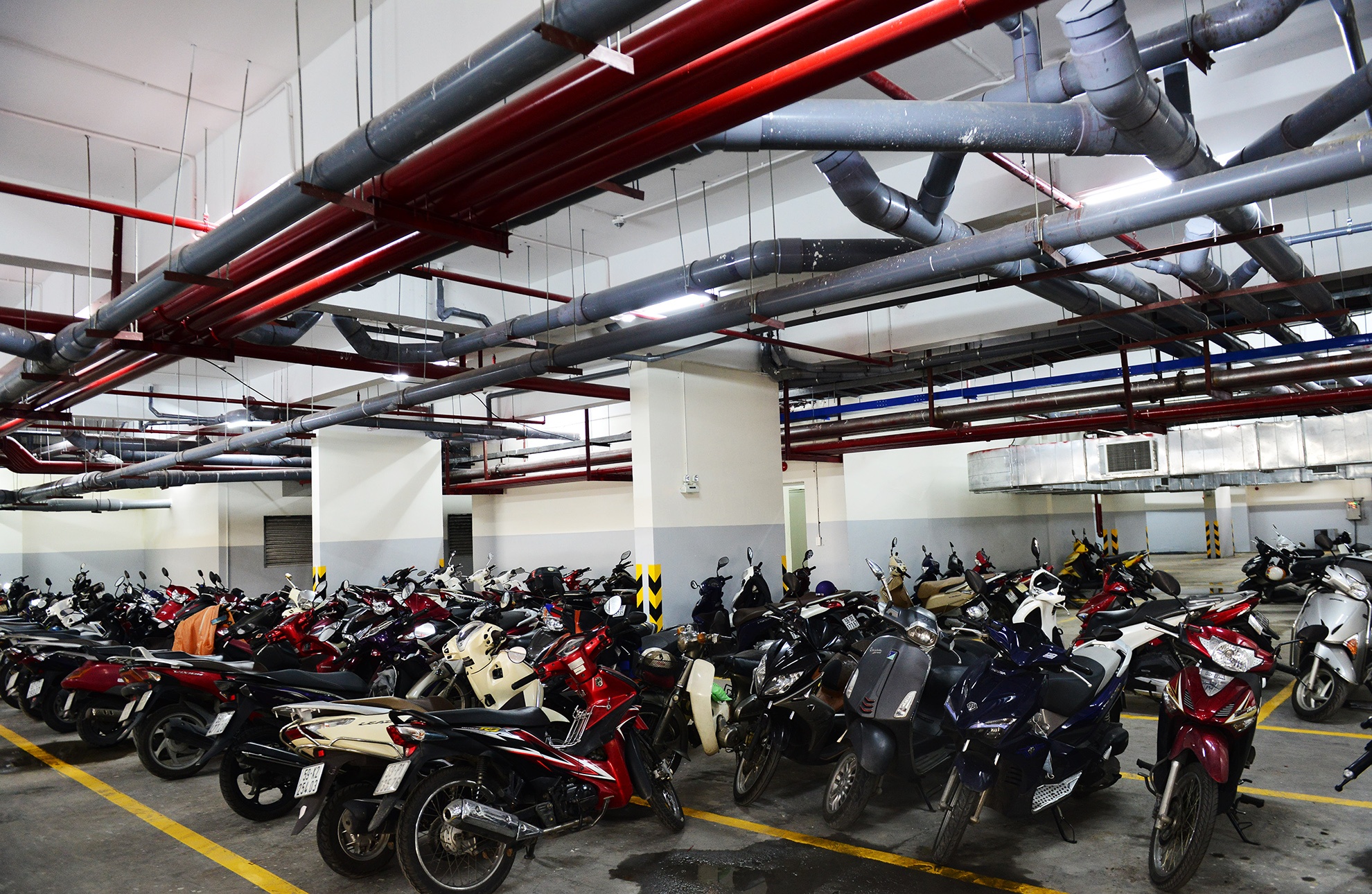 Cu dan Carina tro ve nha sau vu chay tham khoc anh 2