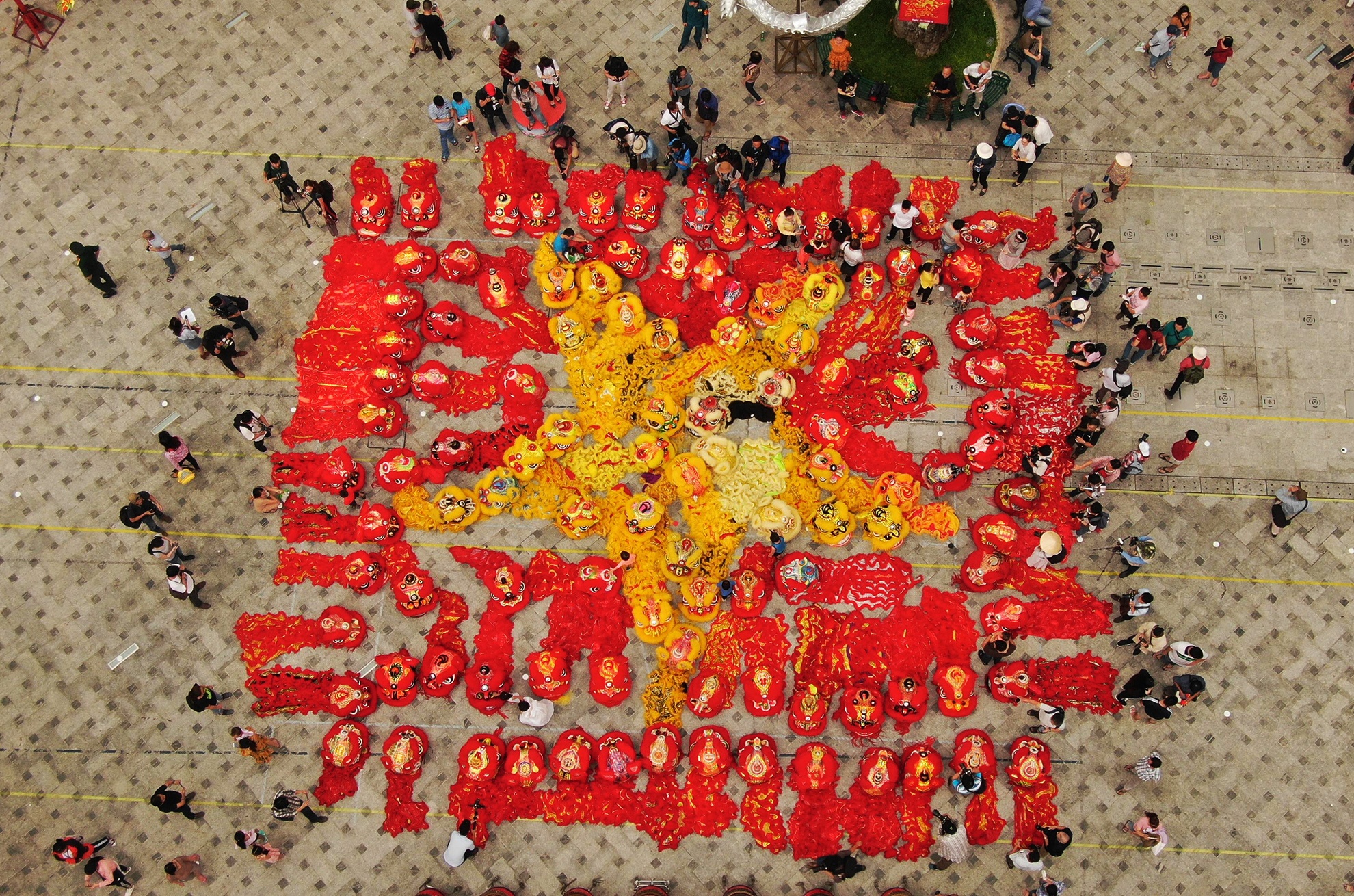 108 con lan xep hinh co do sao vang o TP.HCM hinh anh