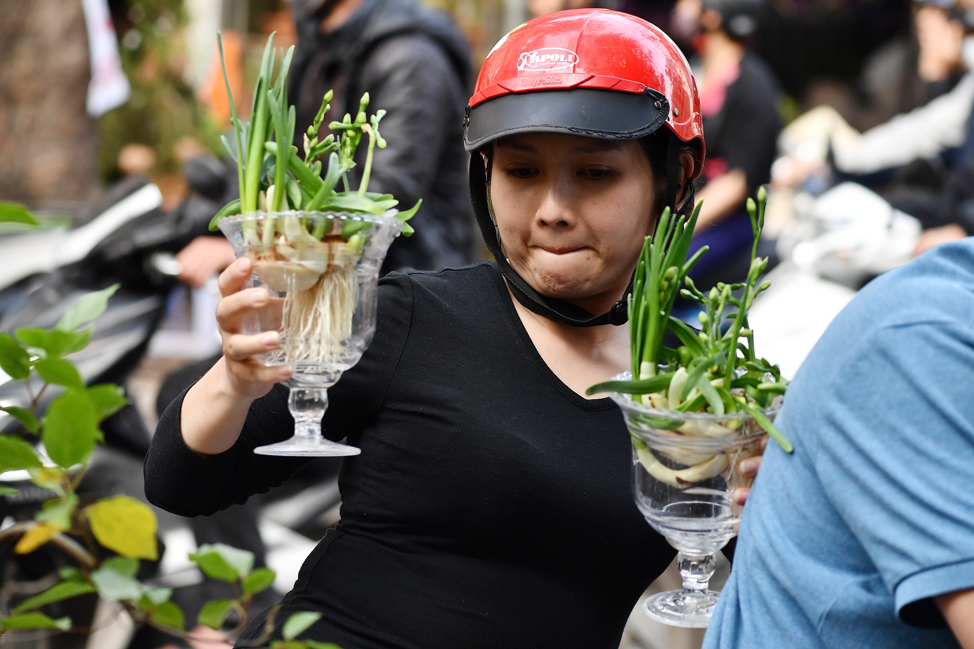 cho hoa Tet Ky Hoi anh 12