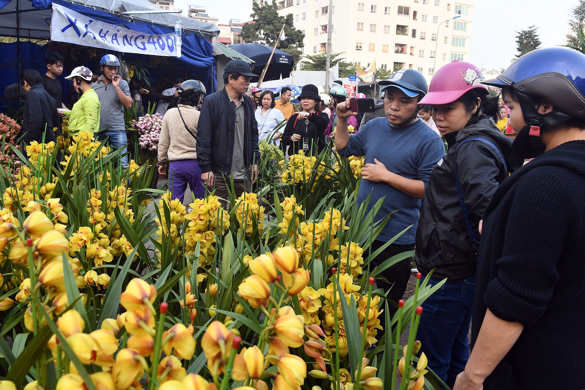 cho hoa Tet Ky Hoi anh 1