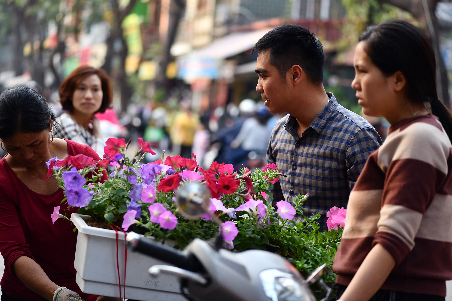 cho hoa Tet Ky Hoi anh 11