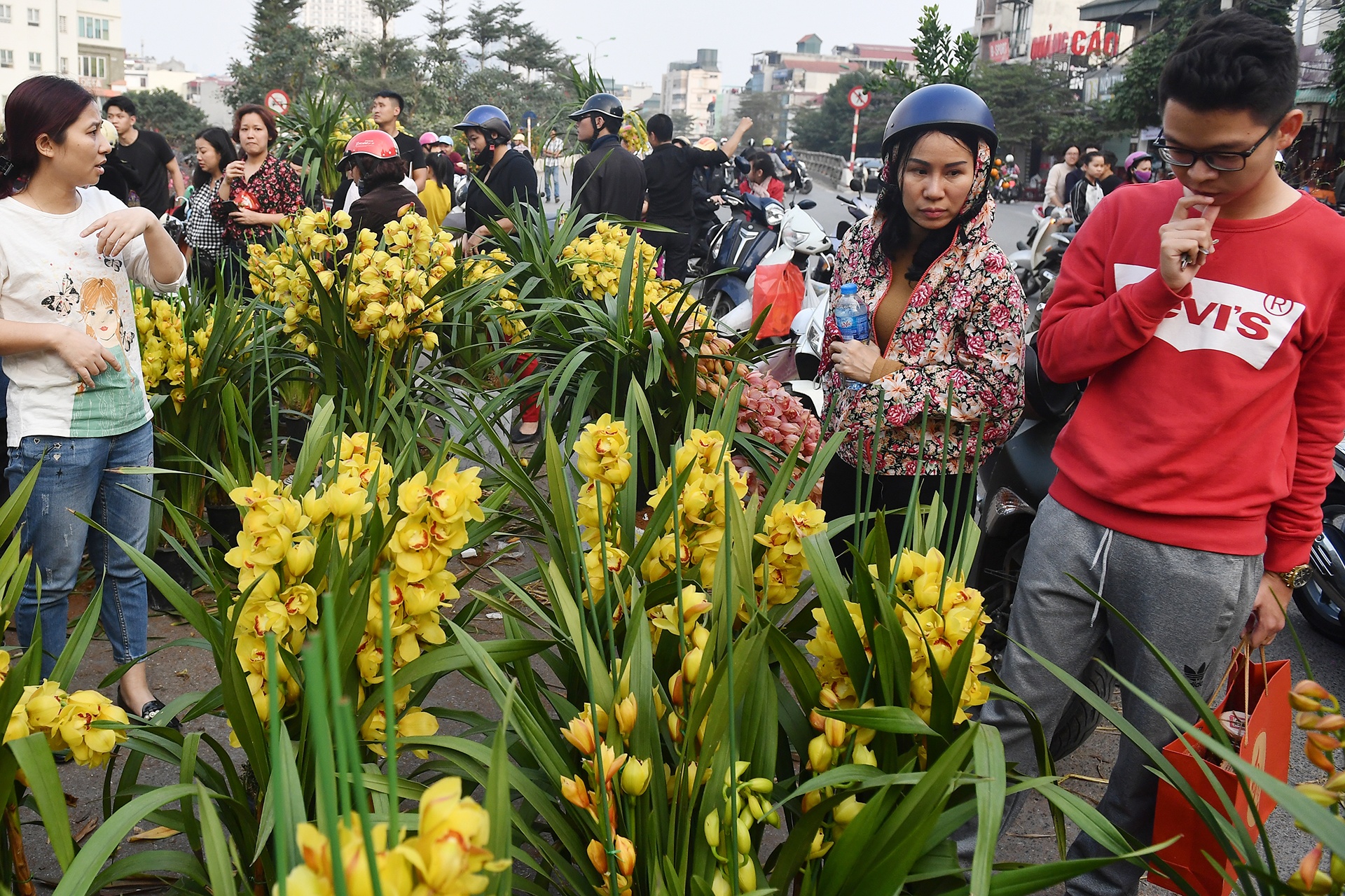 cho hoa Tet Ky Hoi anh 2