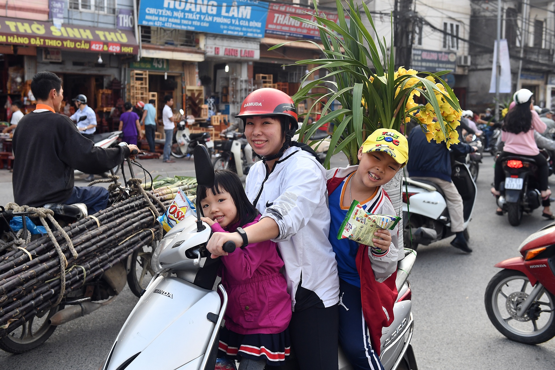 cho hoa Tet Ky Hoi anh 6