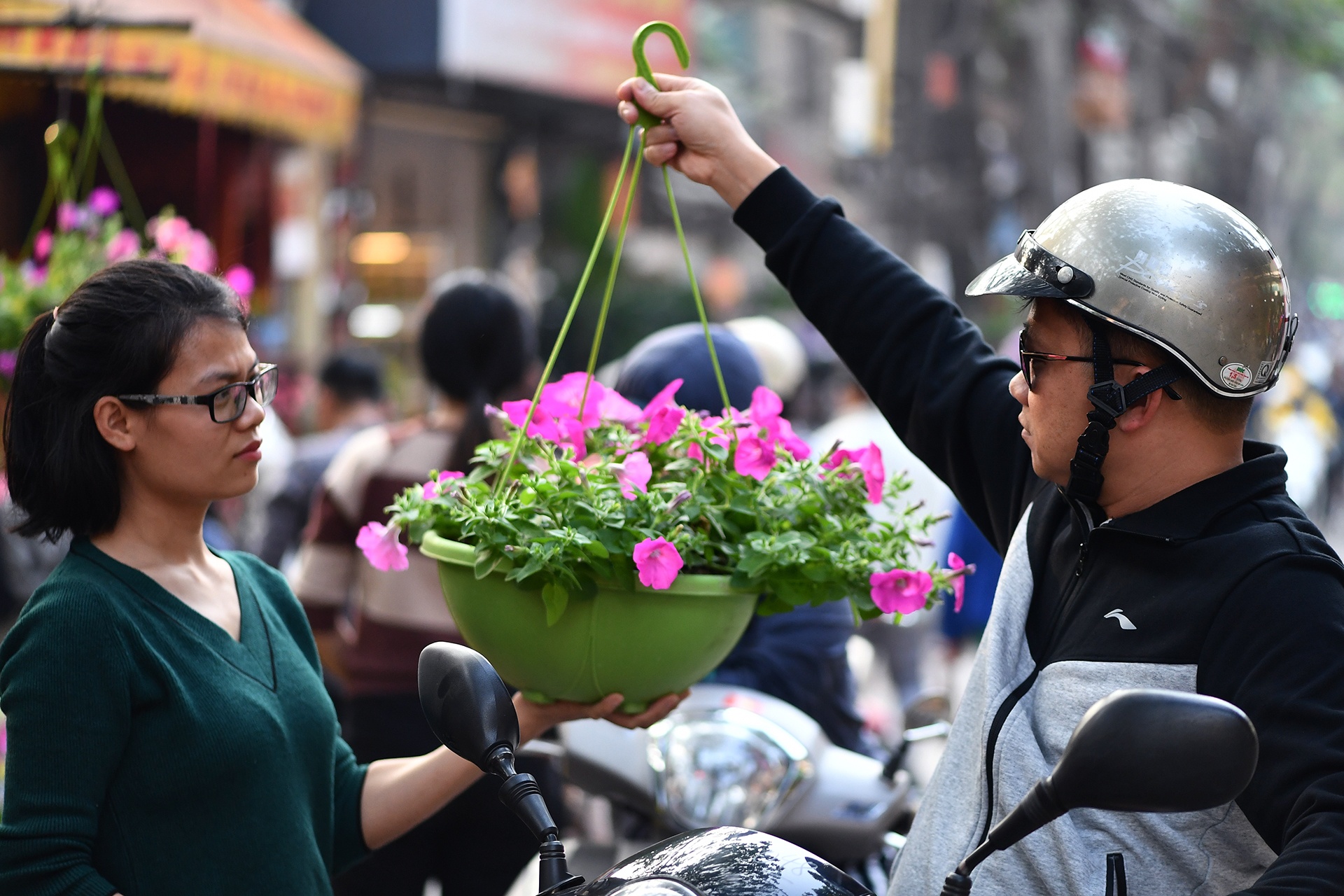 cho hoa Tet Ky Hoi anh 8