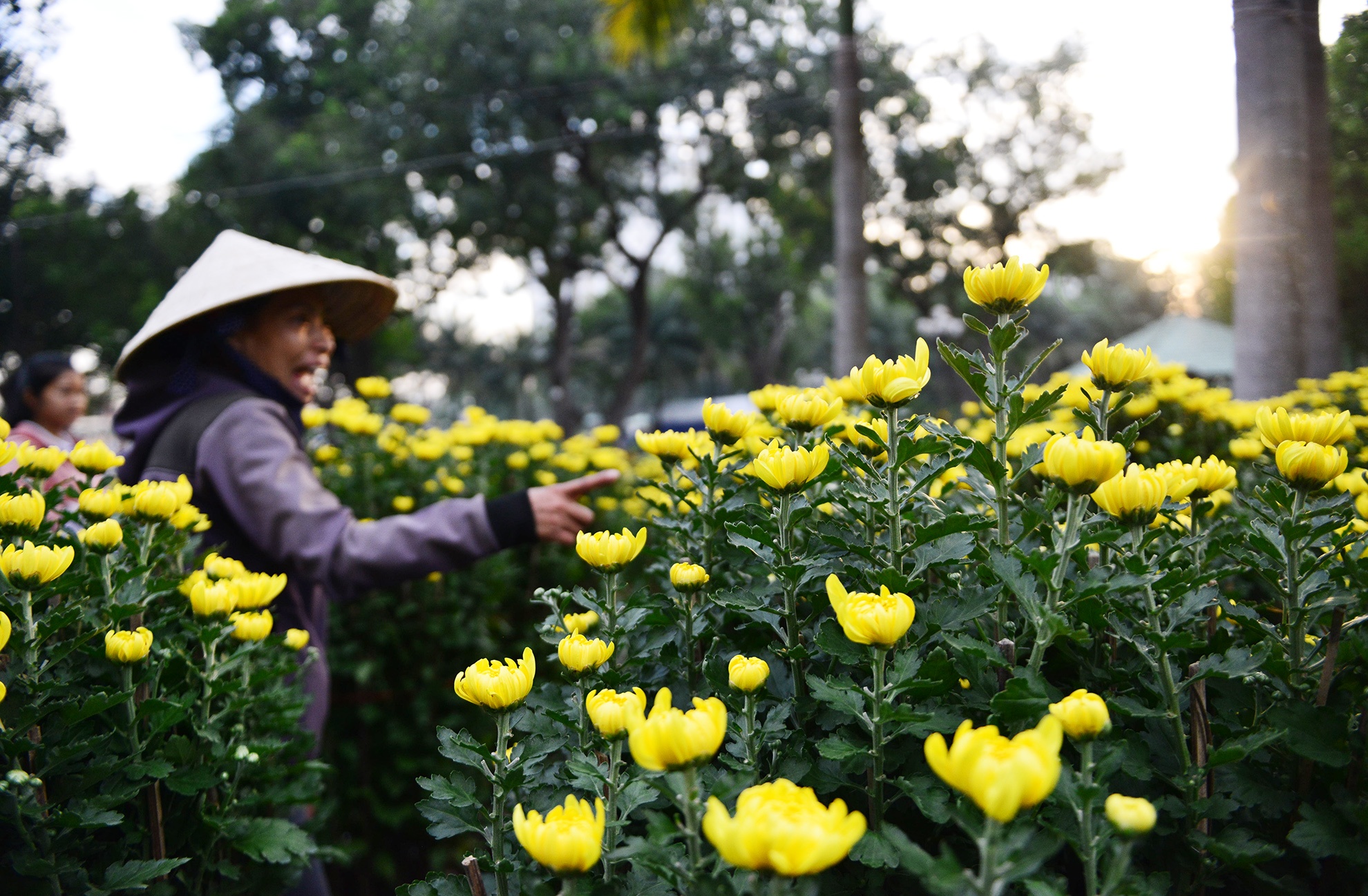 Hoa kieng Tet gia chuc trieu tu khap noi do ve Sai anh 13