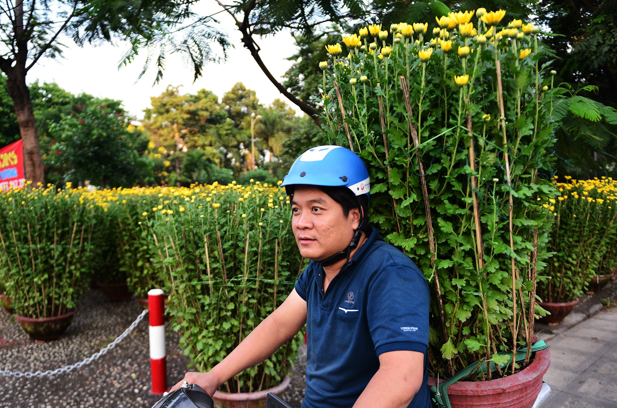 Hoa kieng Tet gia chuc trieu tu khap noi do ve Sai anh 14