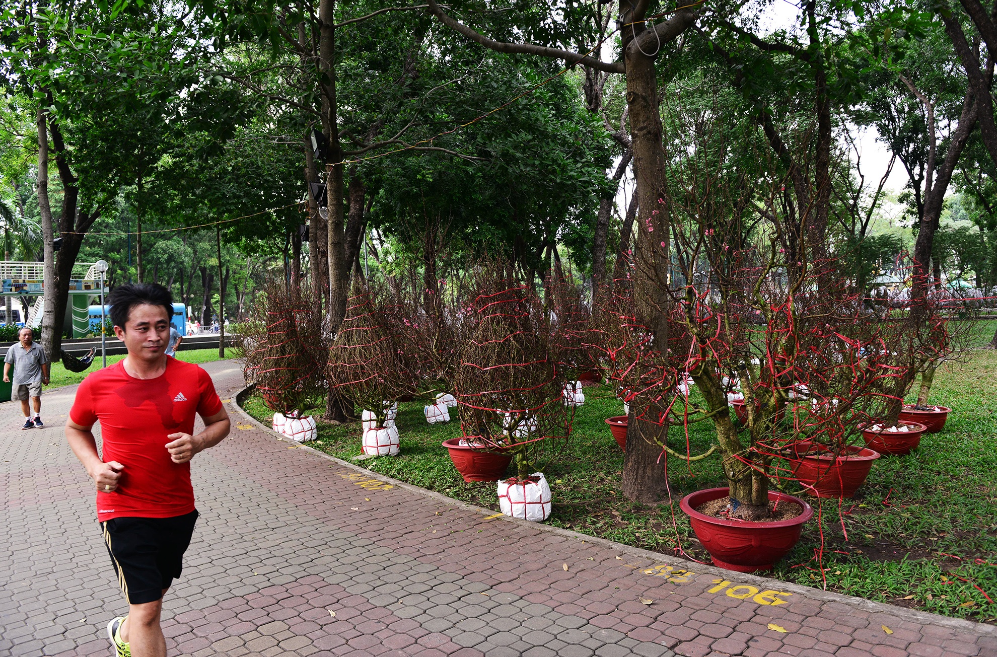 Hoa kieng Tet gia chuc trieu tu khap noi do ve Sai anh 1