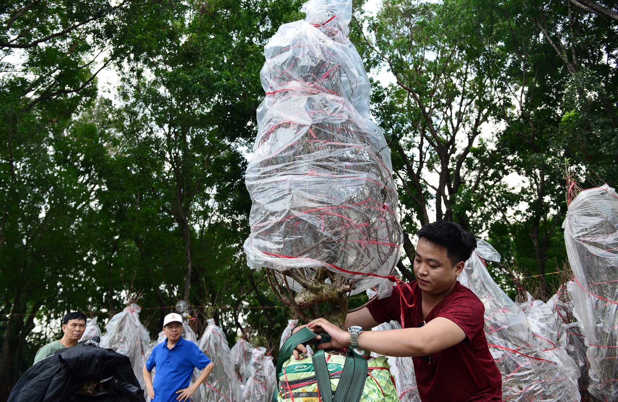 Hoa kieng Tet gia chuc trieu tu khap noi do ve Sai anh 7