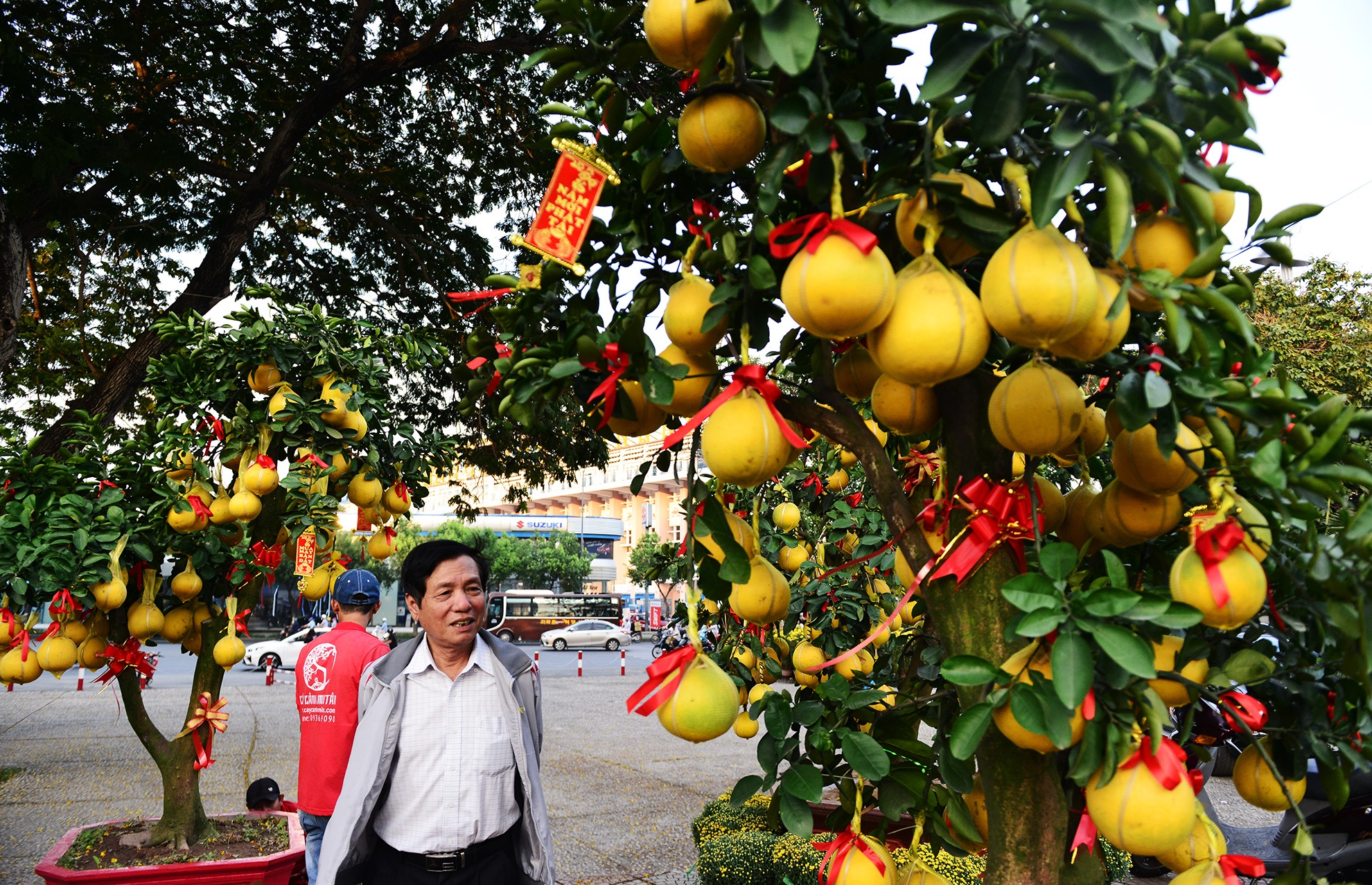 Hoa kieng Tet gia chuc trieu tu khap noi do ve Sai anh 9