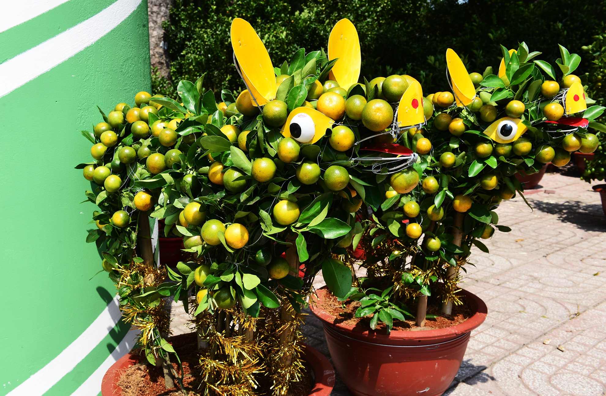 trai cay canh doc la trung Tet o Sai Gon anh 10