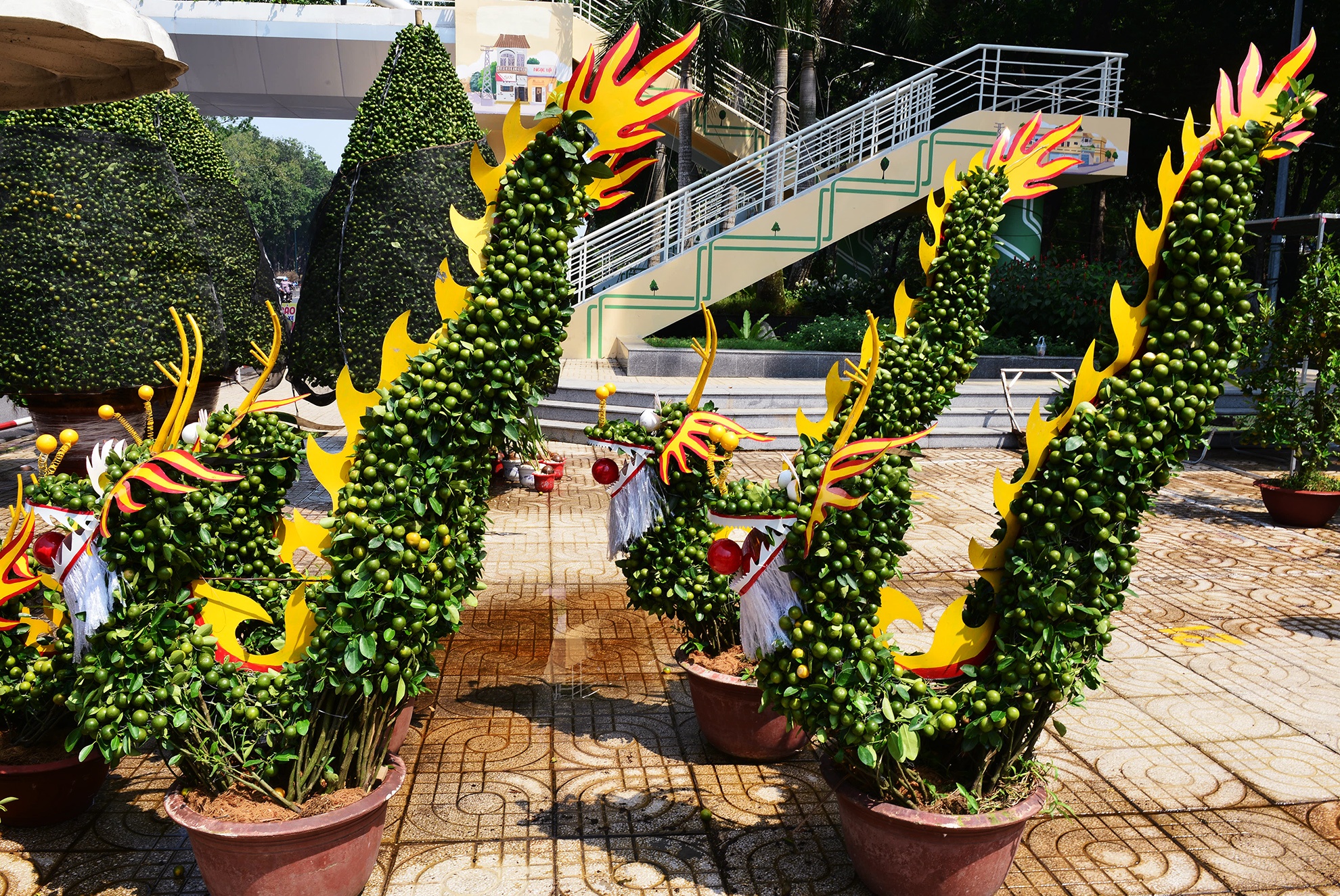 trai cay canh doc la trung Tet o Sai Gon anh 11