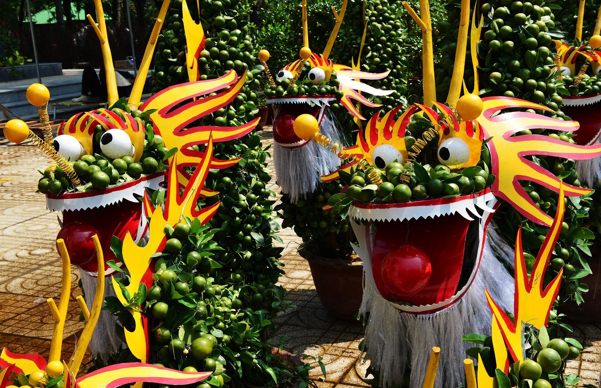 Trai, cay canh doc la chung Tet o Sai Gon hinh anh