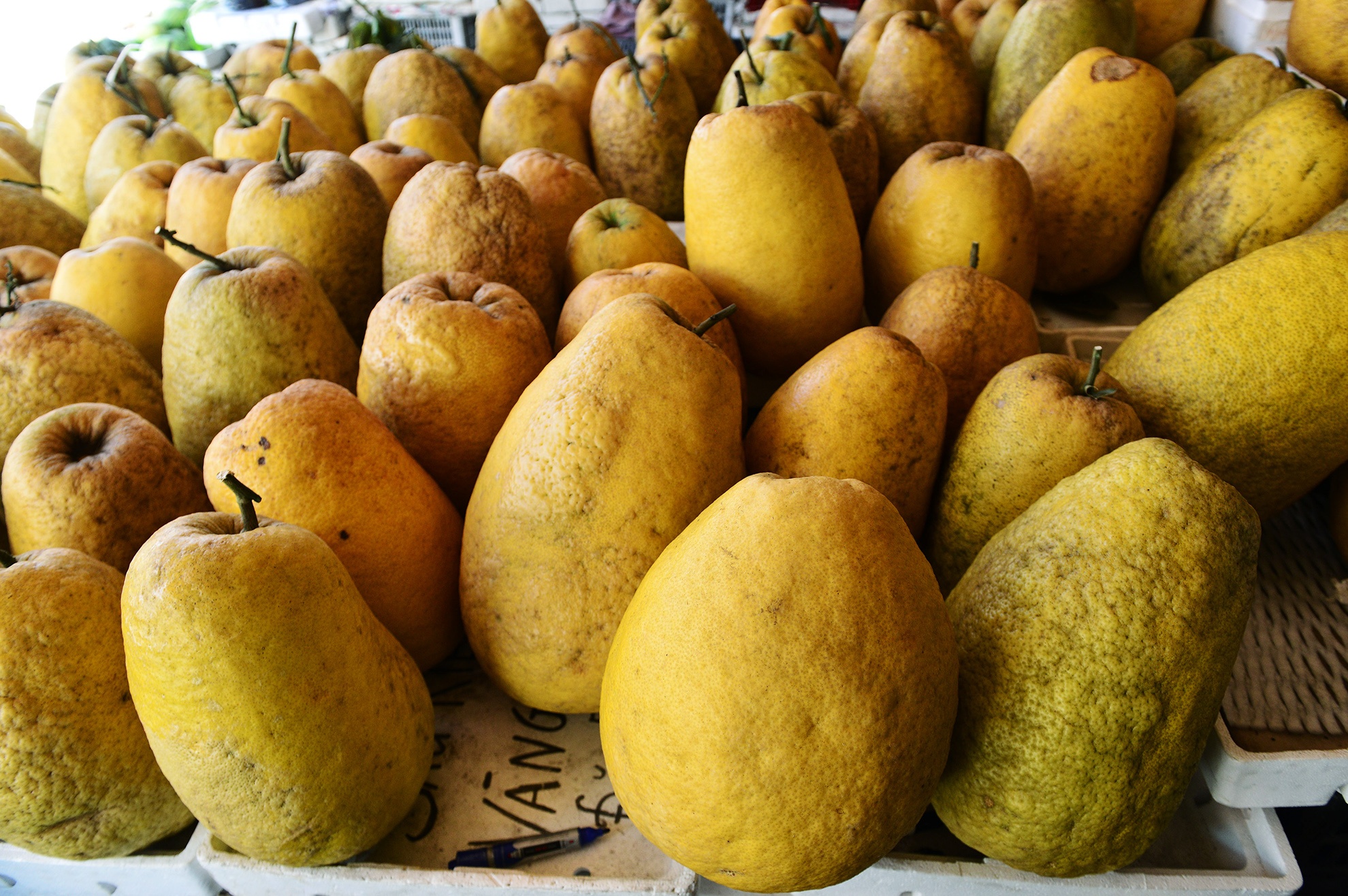 trai cay canh doc la trung Tet o Sai Gon anh 3