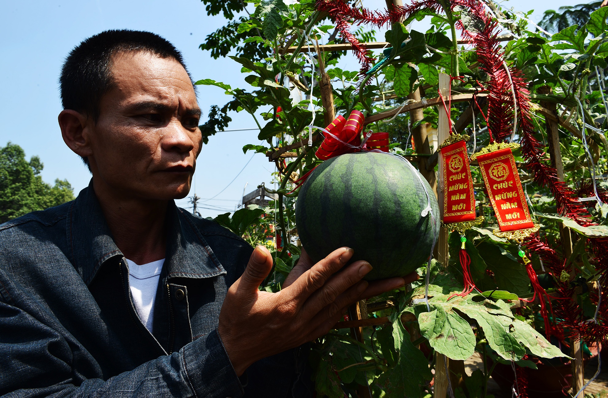 trai cay canh doc la trung Tet o Sai Gon anh 8