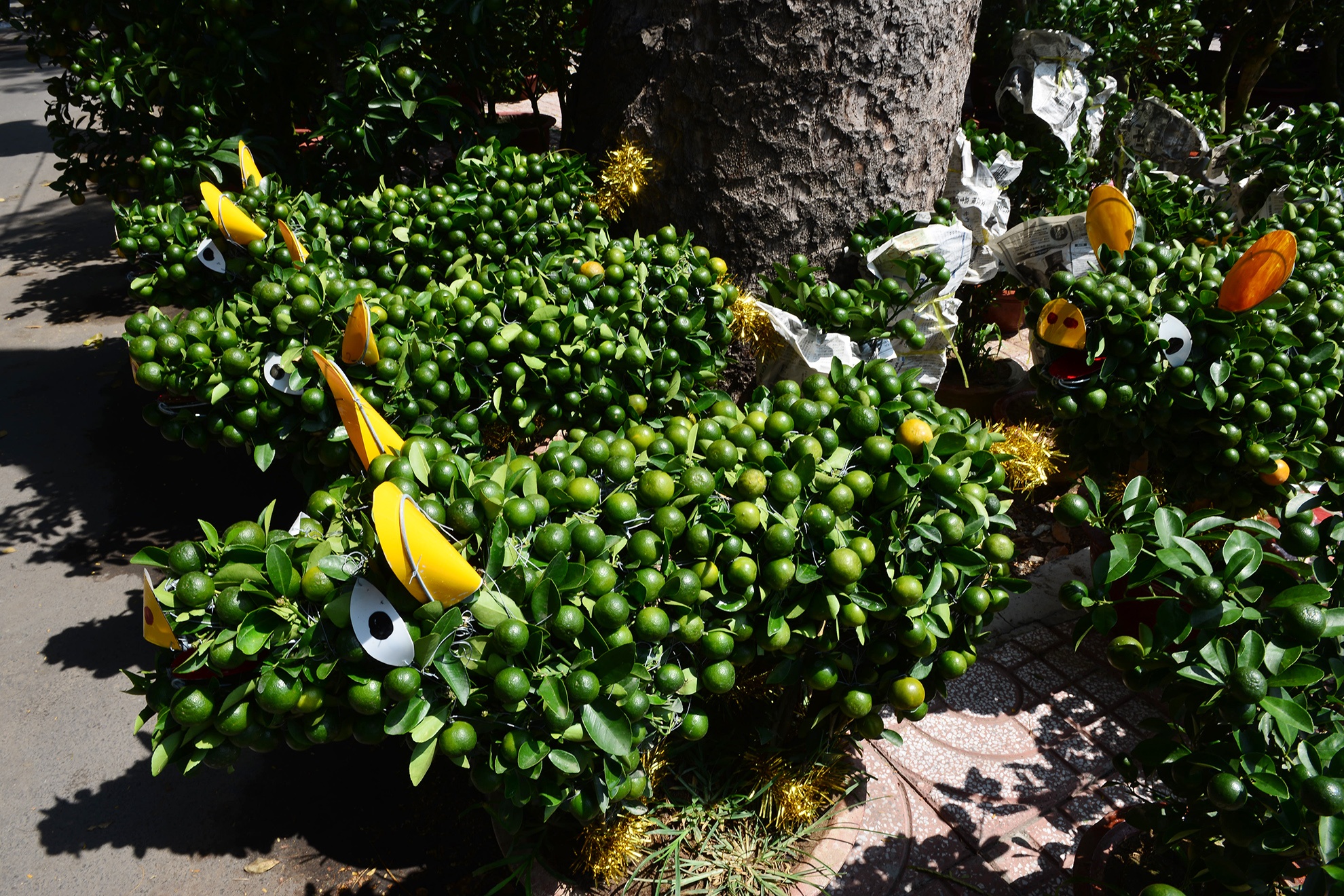 trai cay canh doc la trung Tet o Sai Gon anh 9