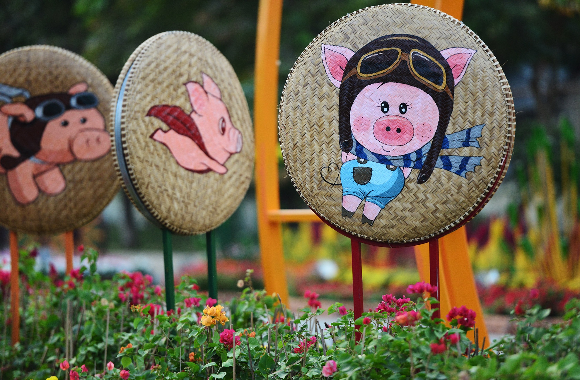 duong hoa Tet dau tien mo cua tham quan o Sai Gon anh 10