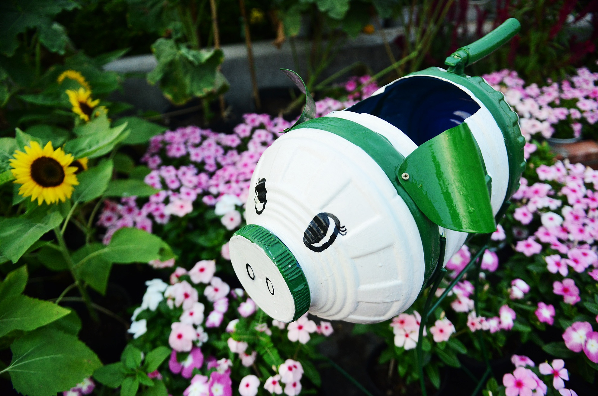 duong hoa Tet dau tien mo cua tham quan o Sai Gon anh 12