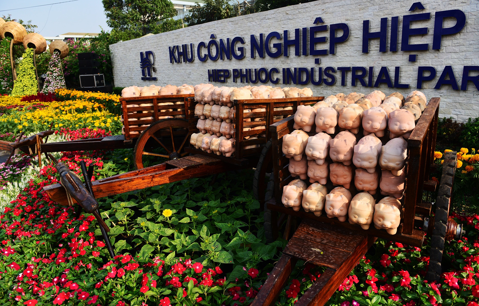 duong hoa Tet dau tien mo cua tham quan o Sai Gon anh 4