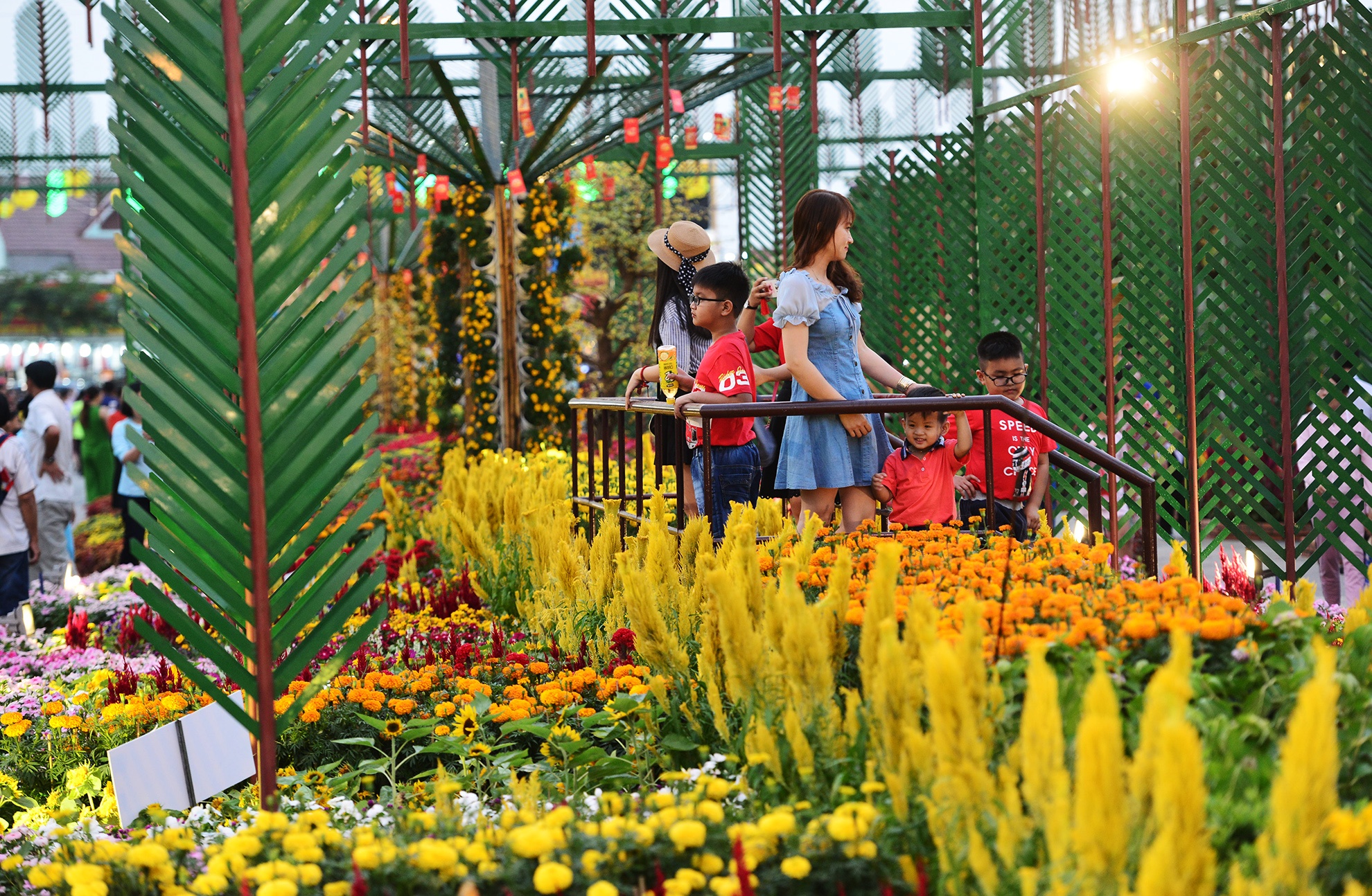 duong hoa Tet dau tien mo cua tham quan o Sai Gon anh 5