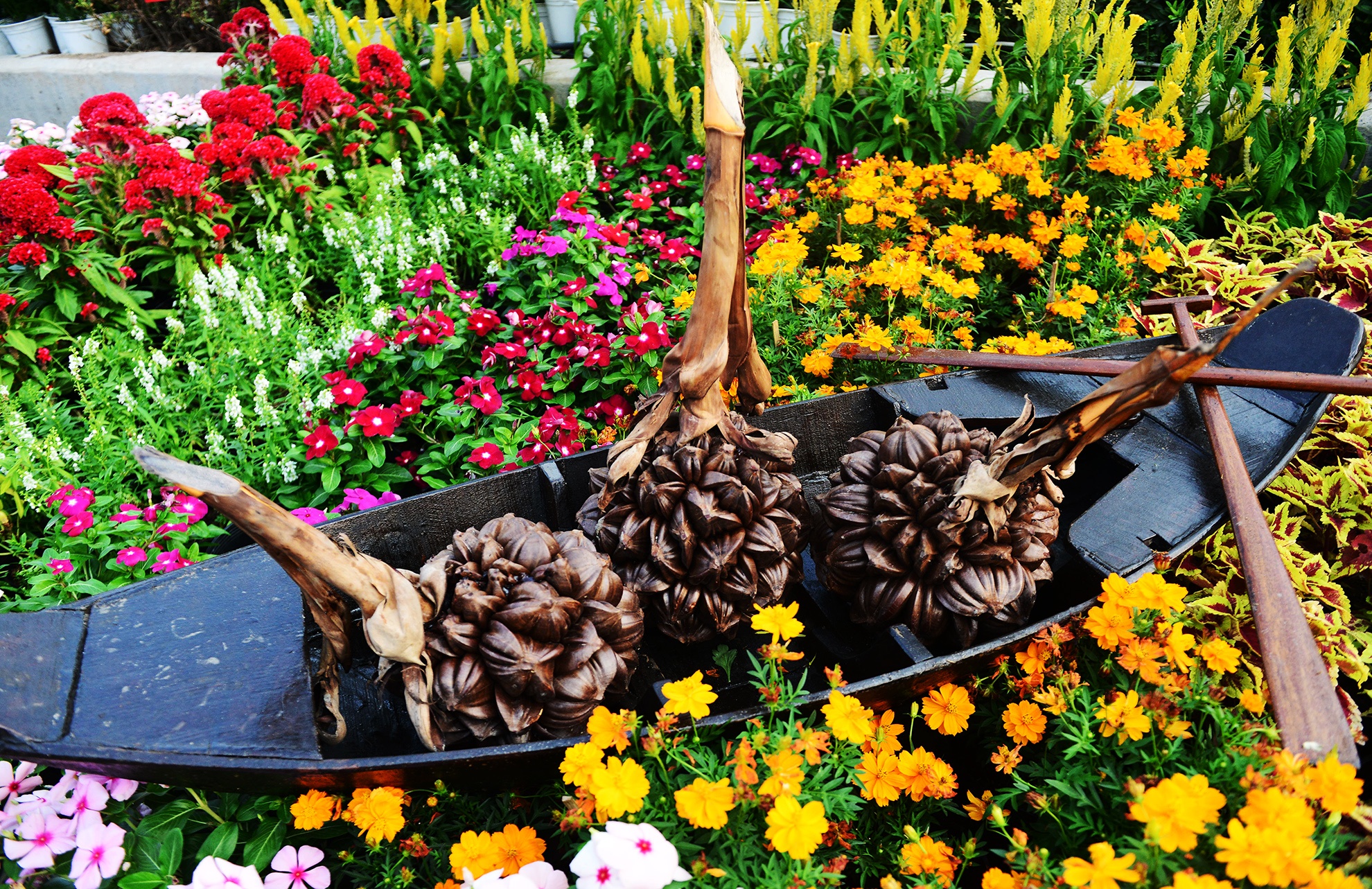 duong hoa Tet dau tien mo cua tham quan o Sai Gon anh 6