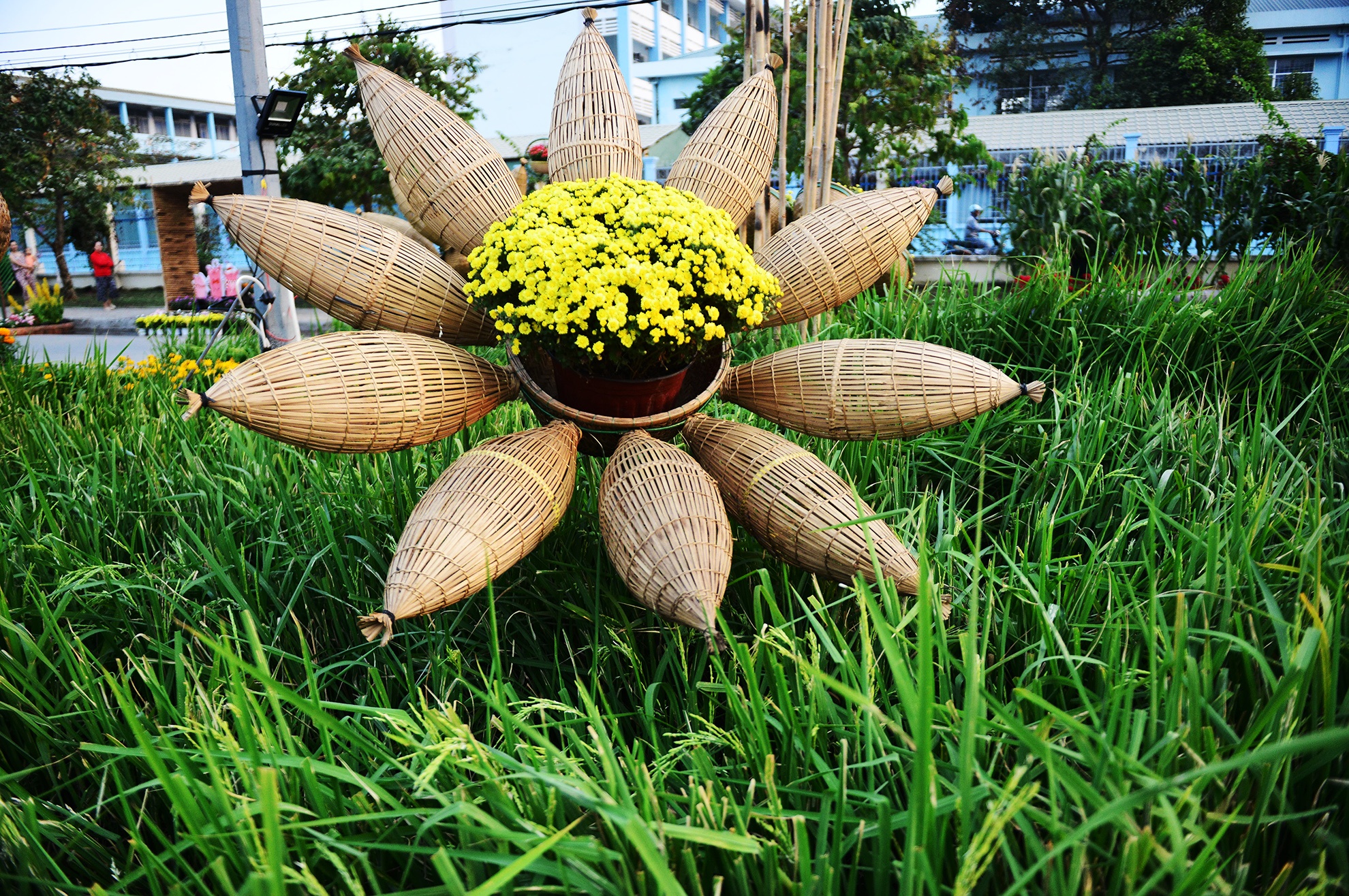 duong hoa Tet dau tien mo cua tham quan o Sai Gon anh 9