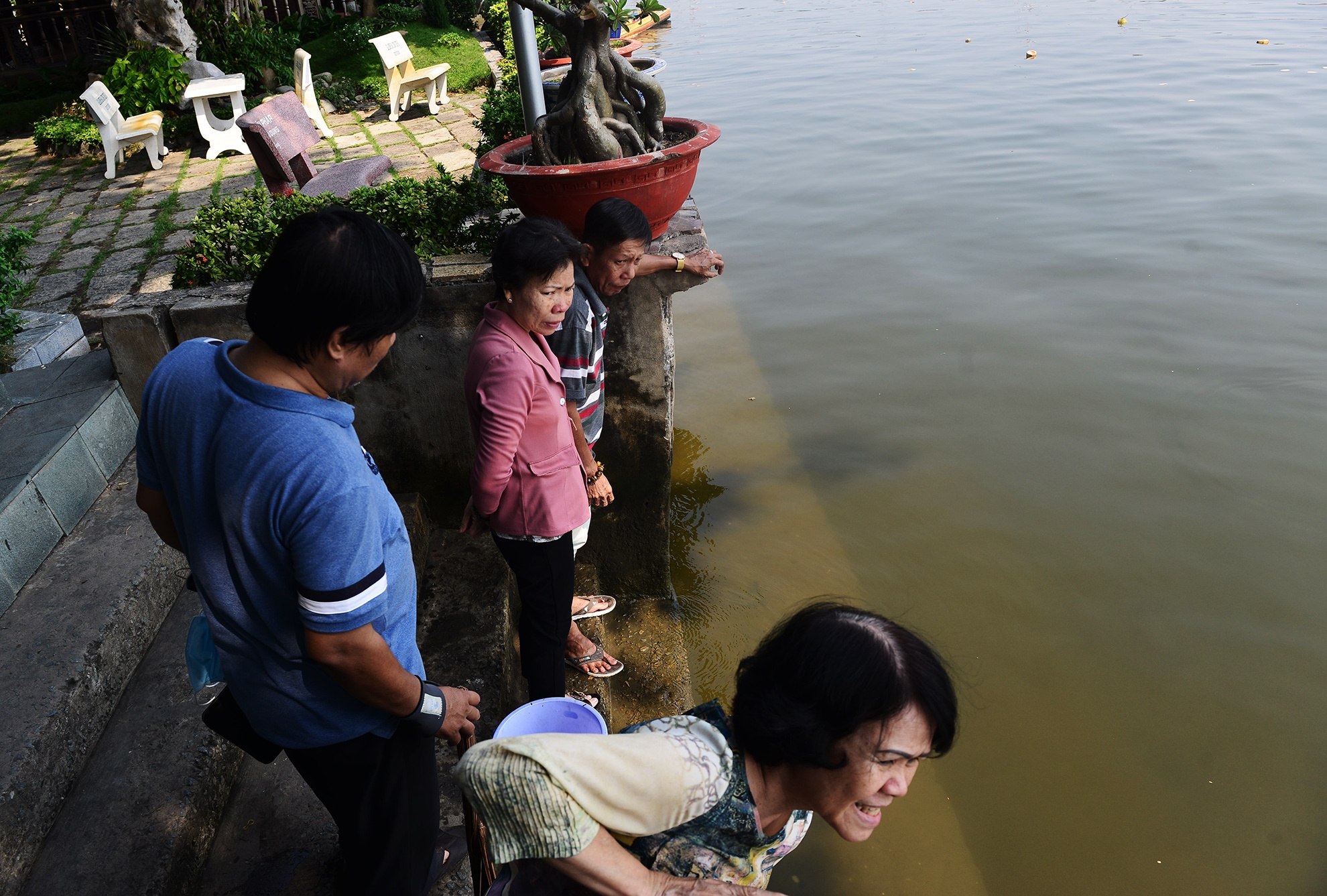 tha ca chep,  cung ong cong ong tao,  tet ky hoi anh 13