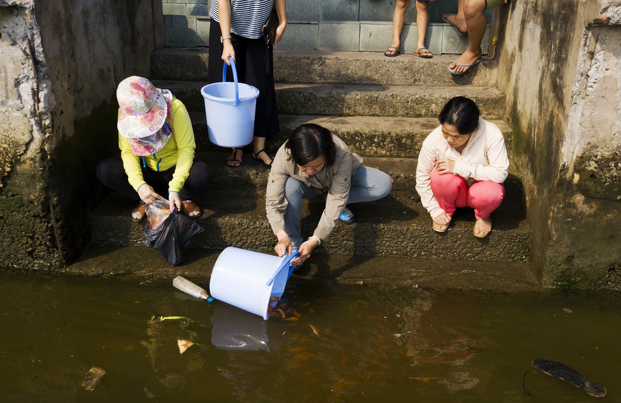 tha ca chep,  cung ong cong ong tao,  tet ky hoi anh 1