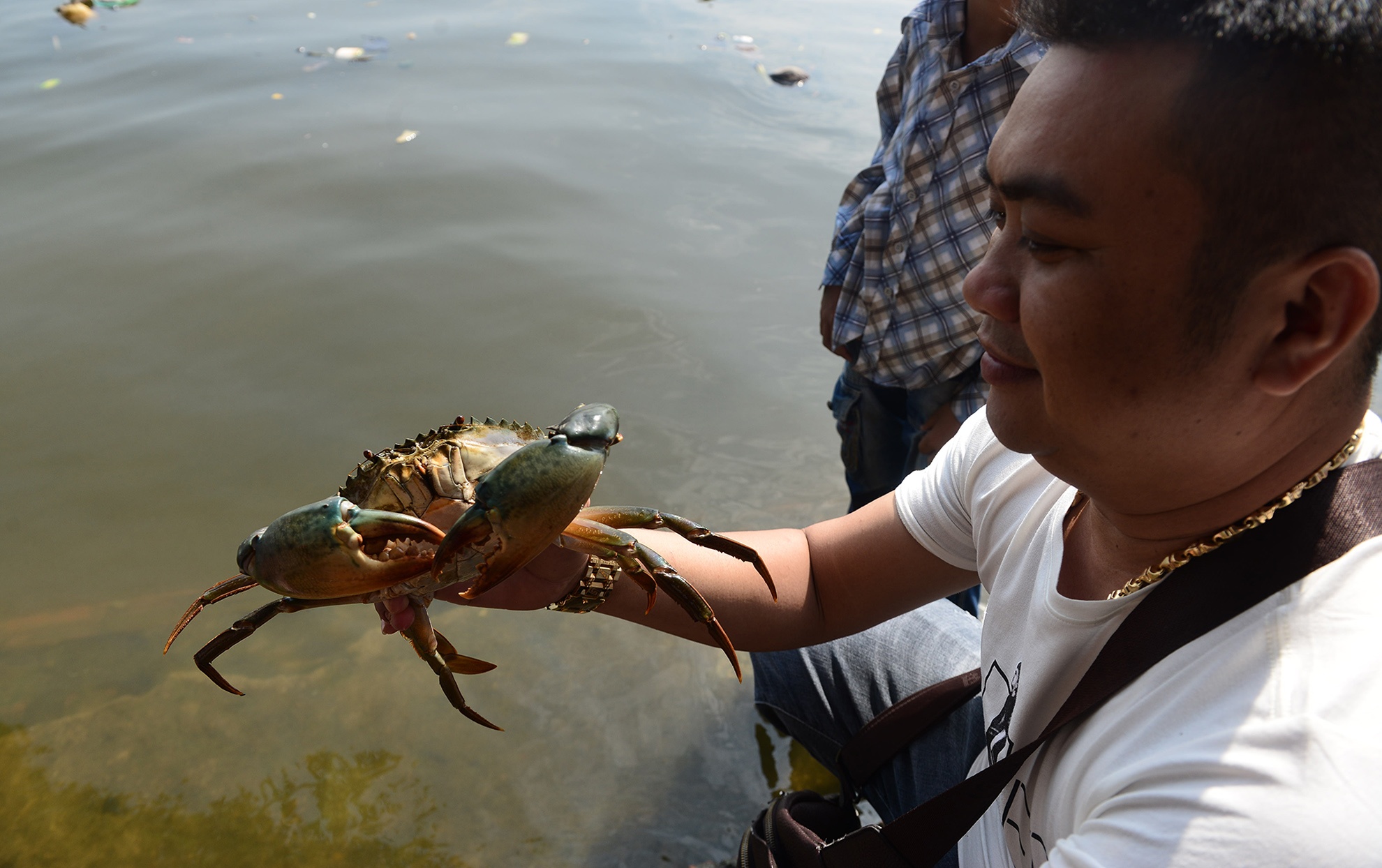 tha ca chep,  cung ong cong ong tao,  tet ky hoi anh 5