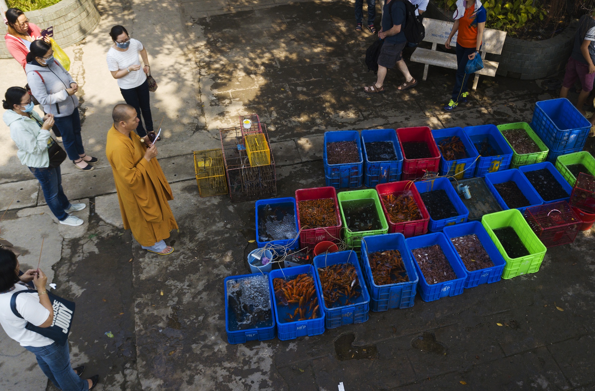 tha ca chep,  cung ong cong ong tao,  tet ky hoi anh 7