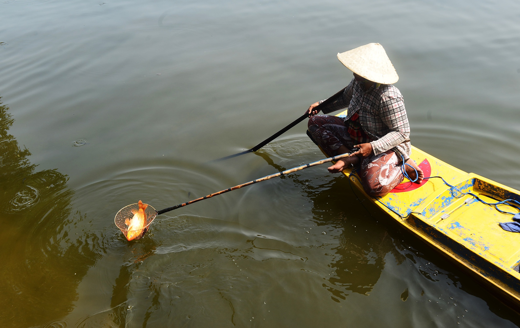 tha ca chep,  cung ong cong ong tao,  tet ky hoi anh 10
