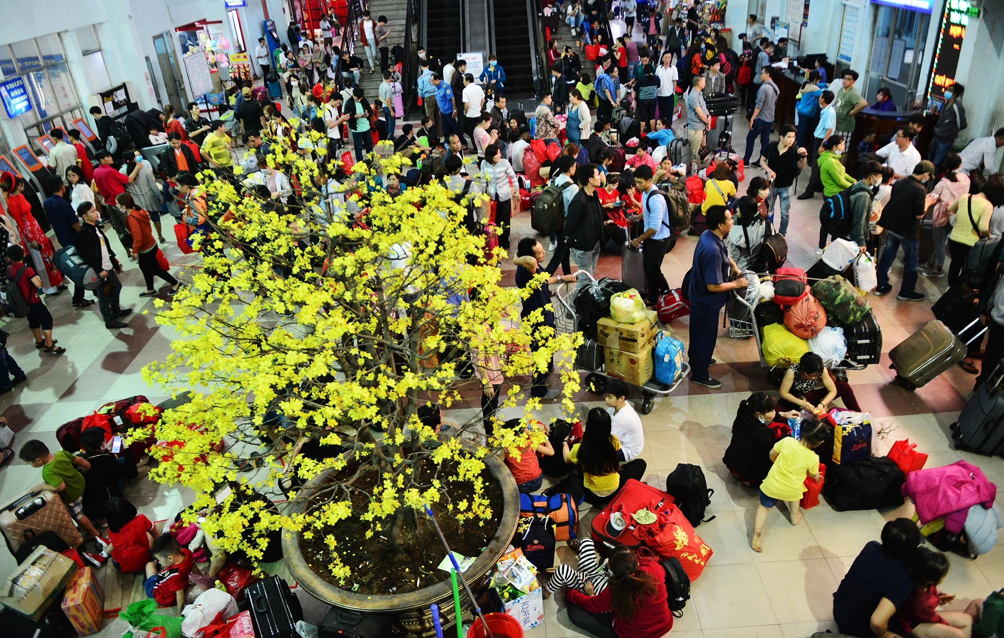 cong nhan,  tet ky hoi,  ve que an tet,  ve tau mien phi anh 8