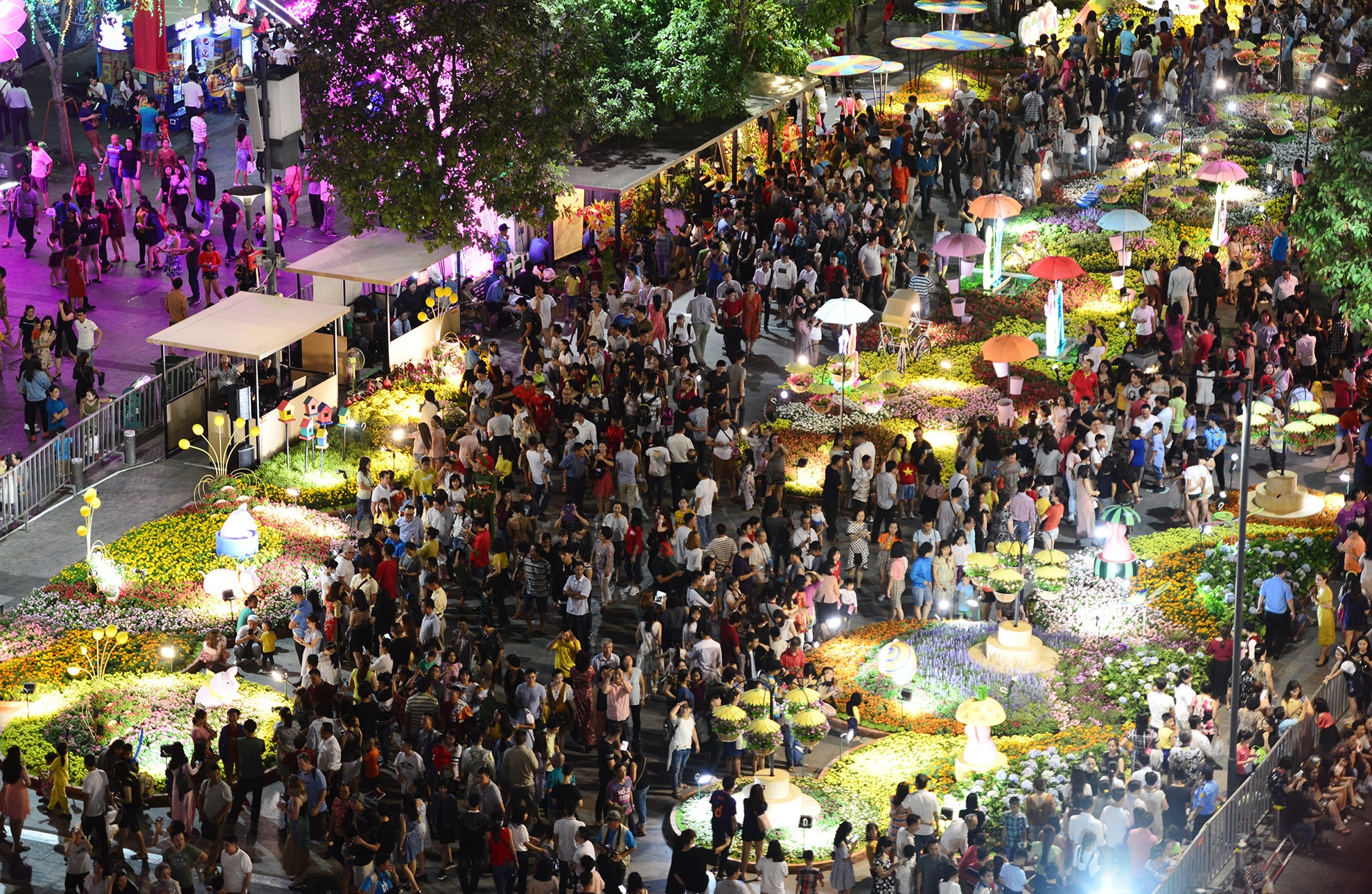 khai mac duong hoa Nguyen Hue Tet Ky Hoi anh 5