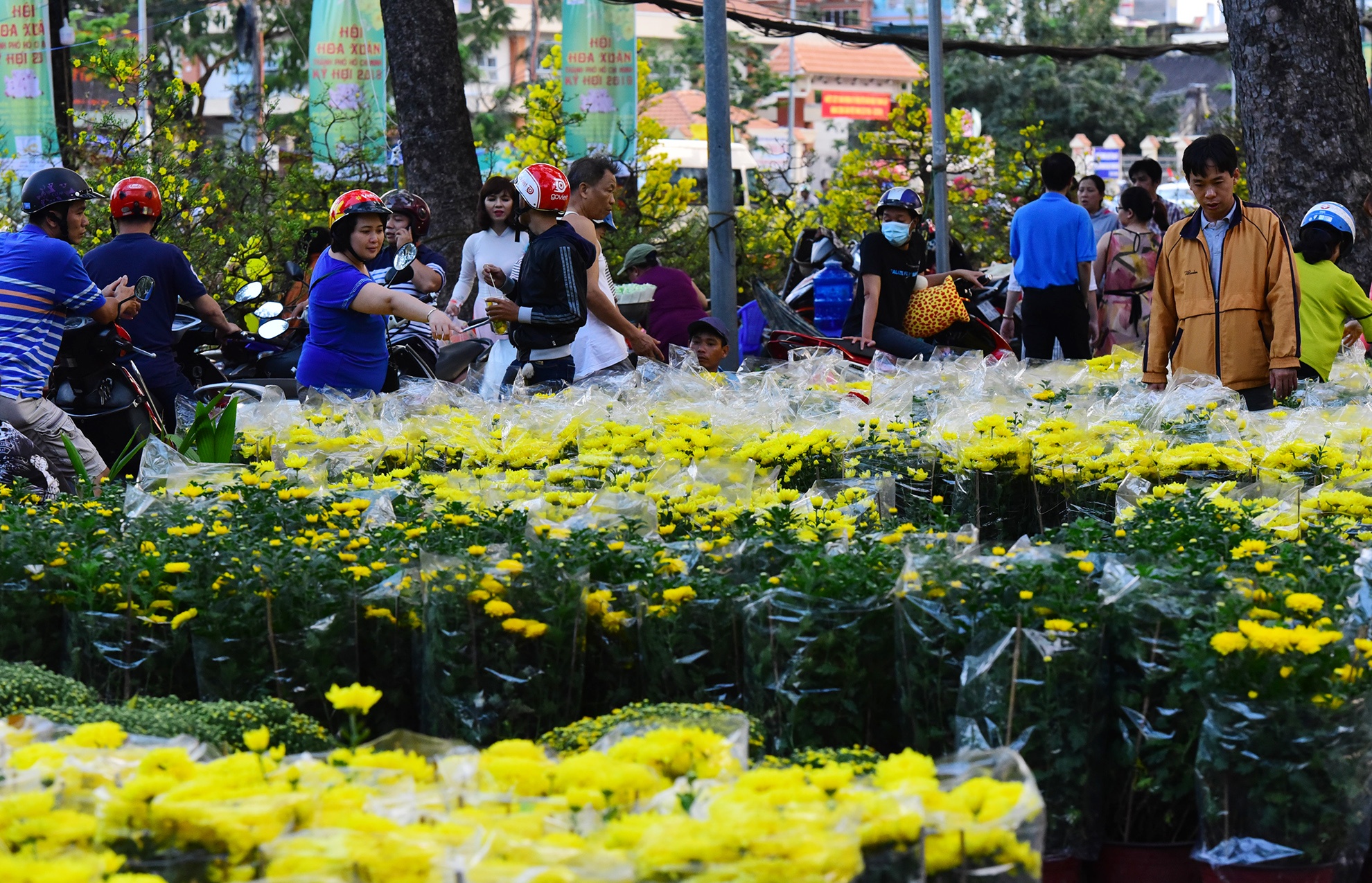 Canh doi lap o cho hoa Tet lon nhat Sai Gon anh 13