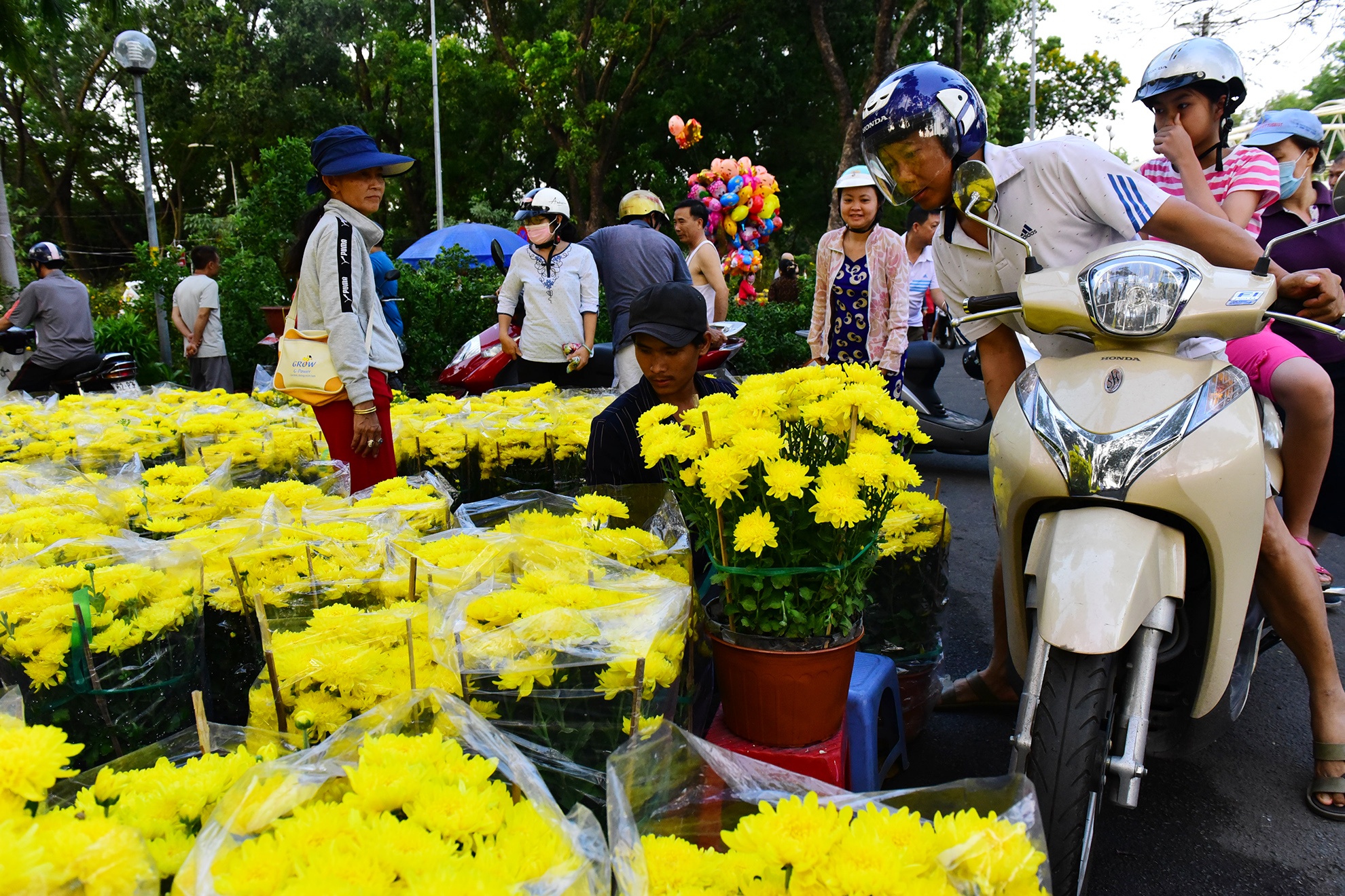 Canh doi lap o cho hoa Tet lon nhat Sai Gon anh 14