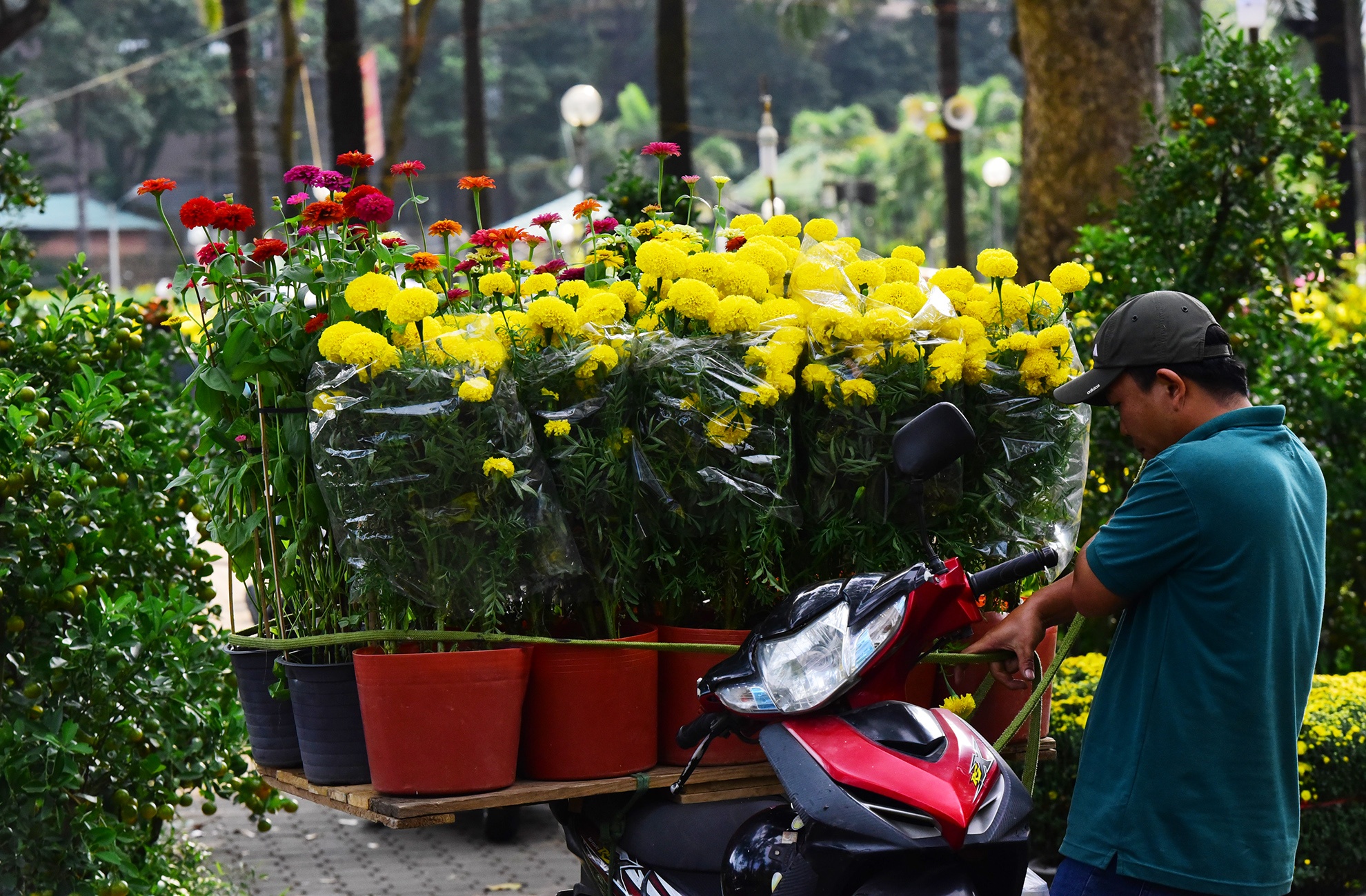 Canh doi lap o cho hoa Tet lon nhat Sai Gon anh 18